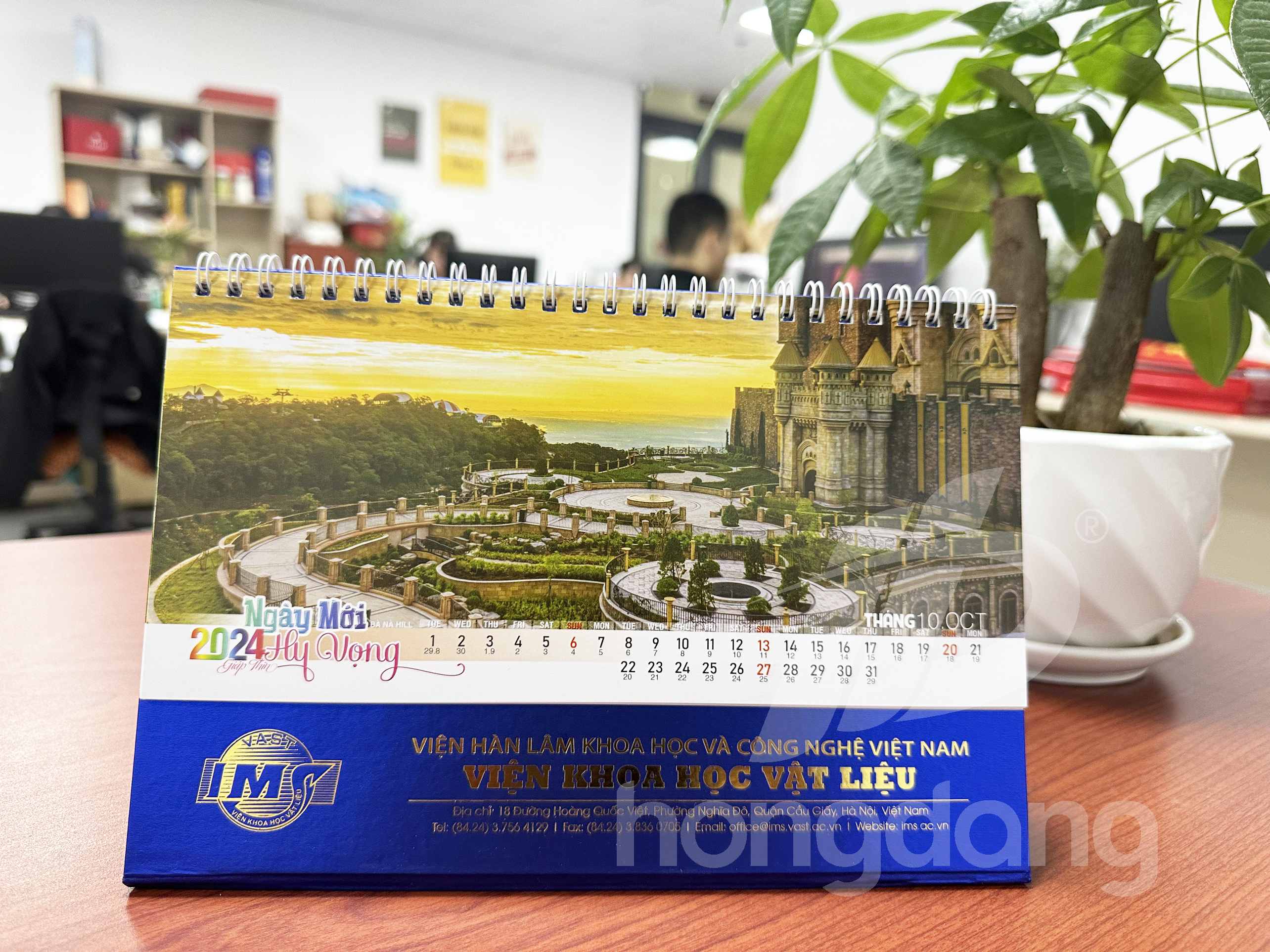 lich-de-ban-phoi-co-san-7-