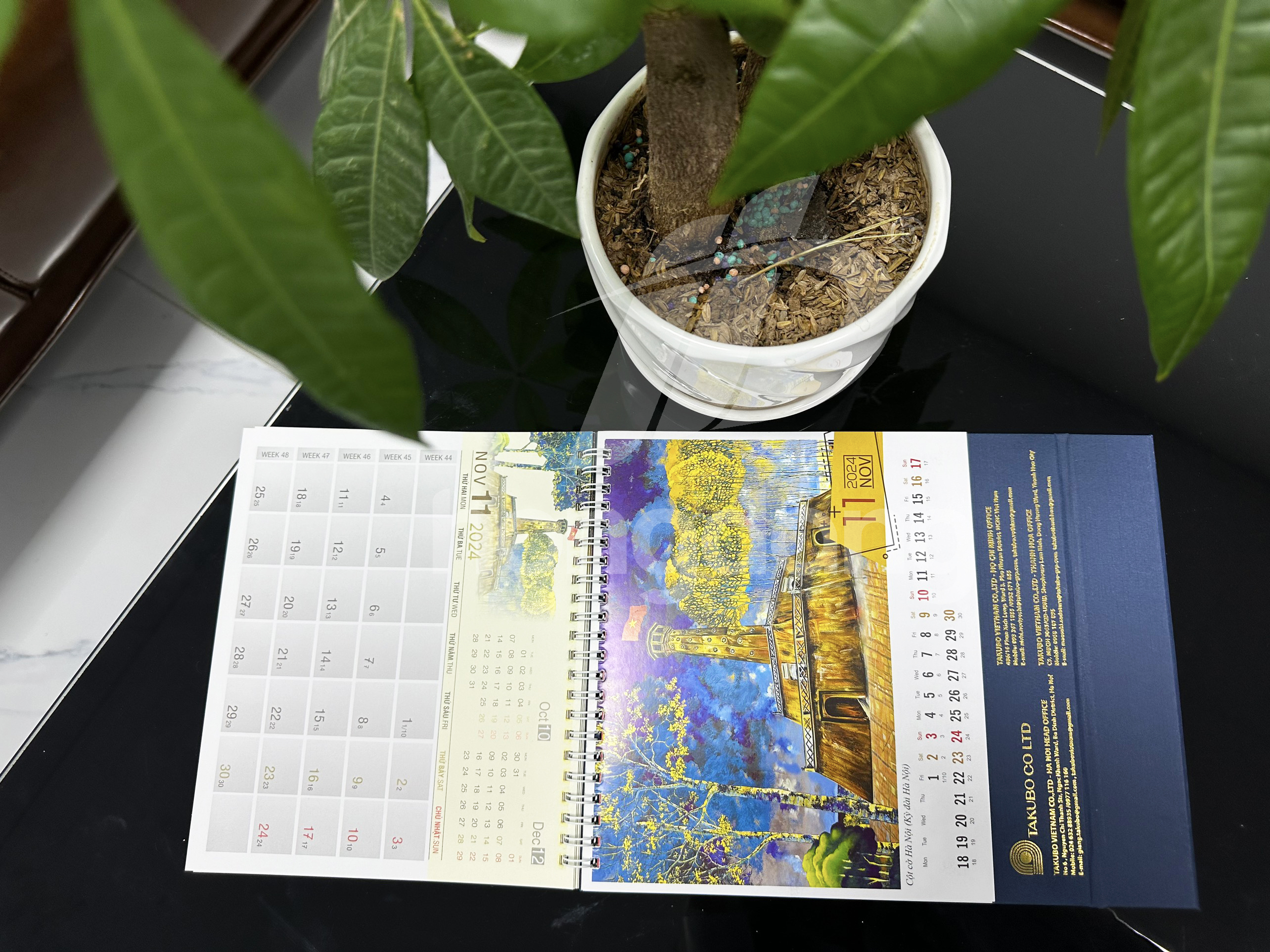 lich-de-ban-phoi-co-san-89-