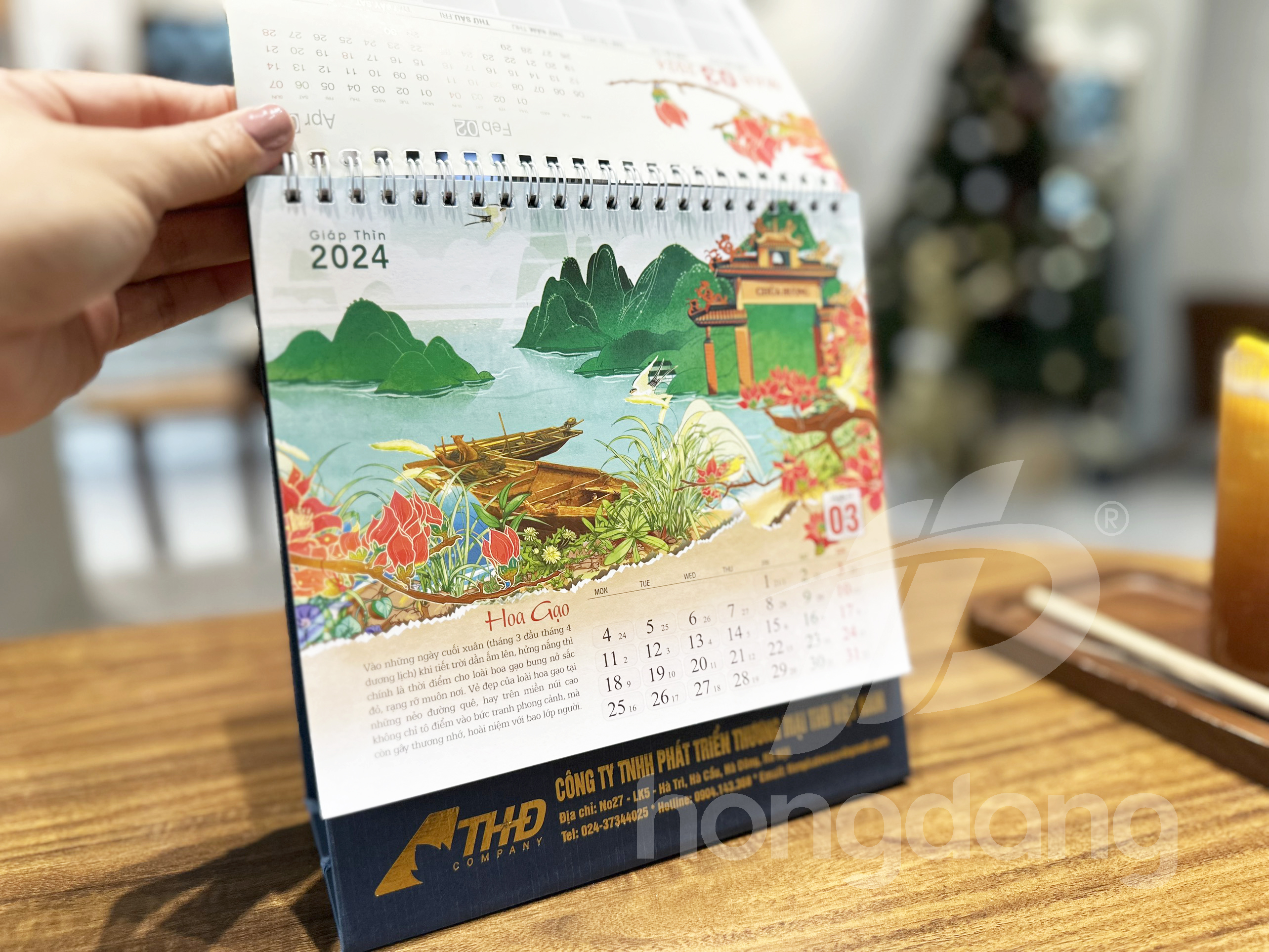 lich-de-ban-phoi-san-29-