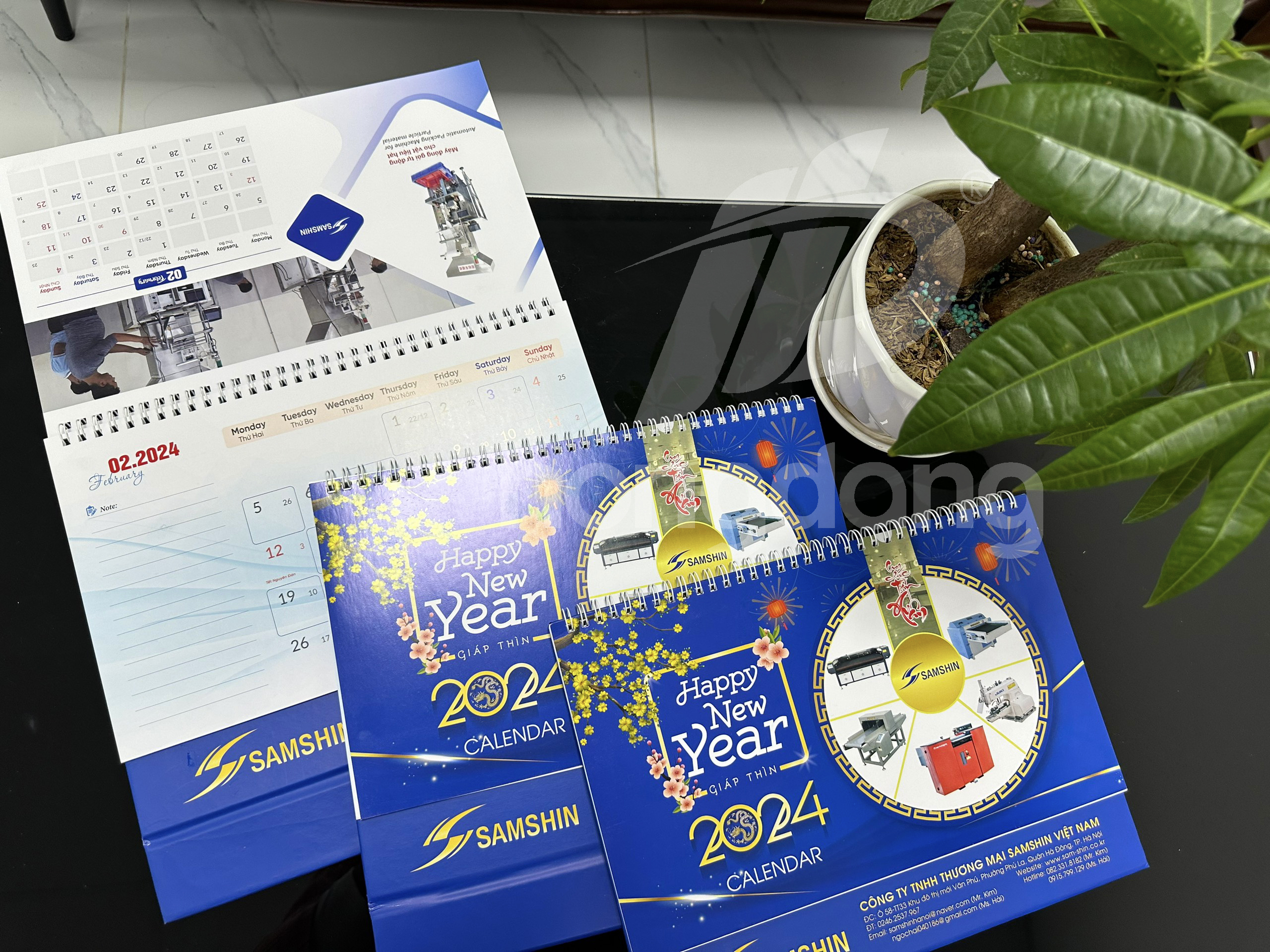 lich-de-ban-shamsin-20-