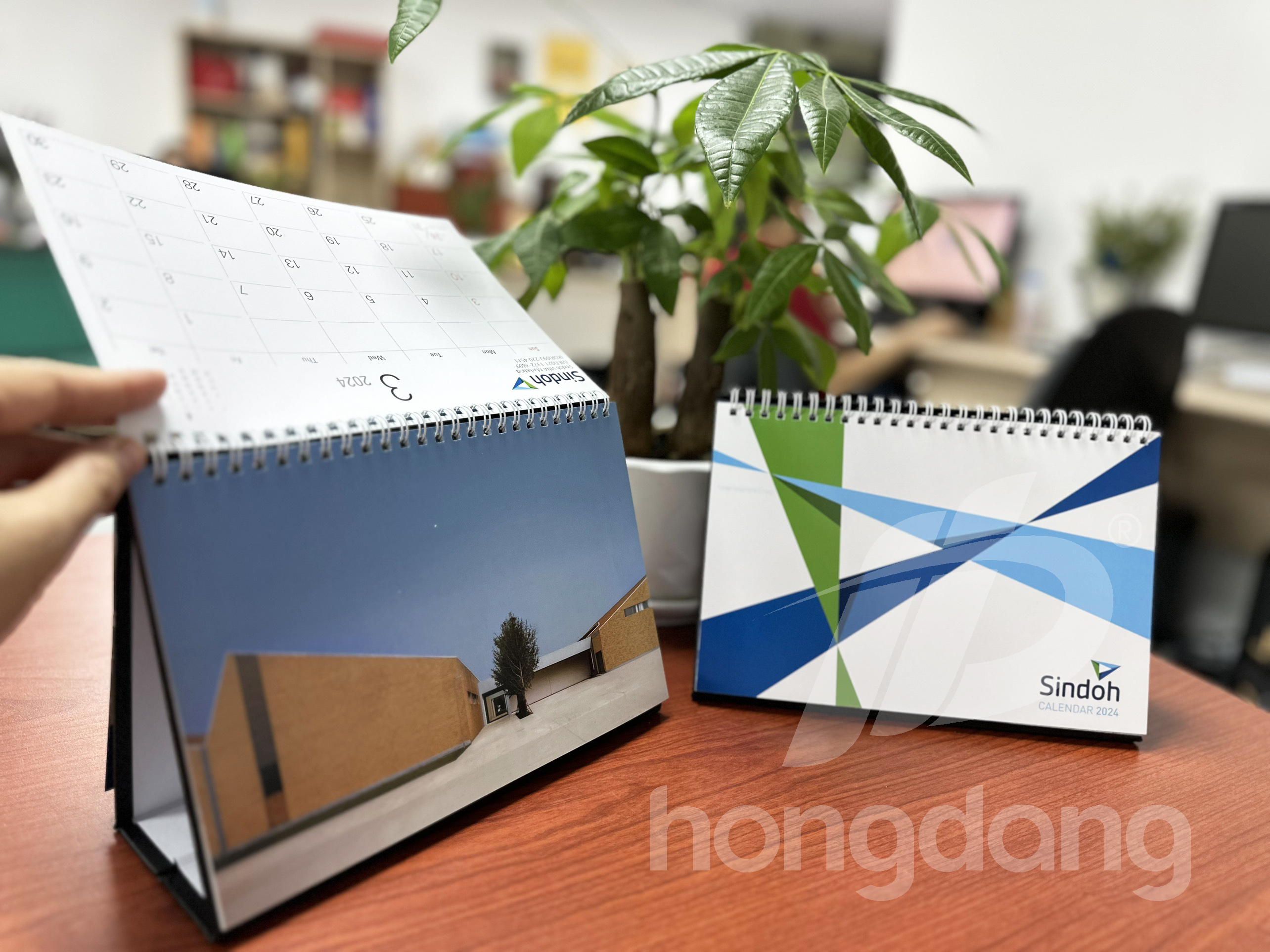 lich-de-ban-sindoh-22-