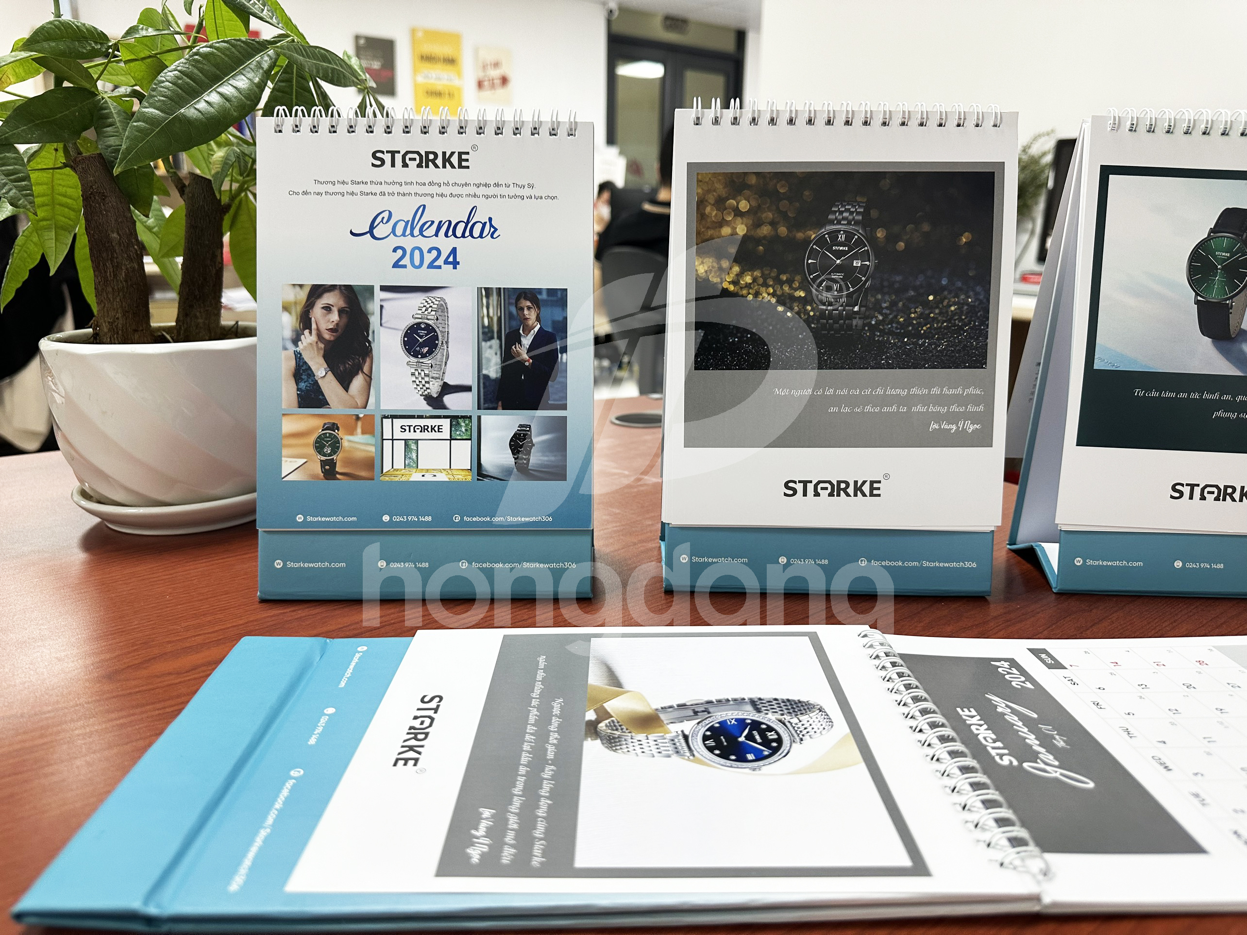 lich-de-ban-stoke-12-