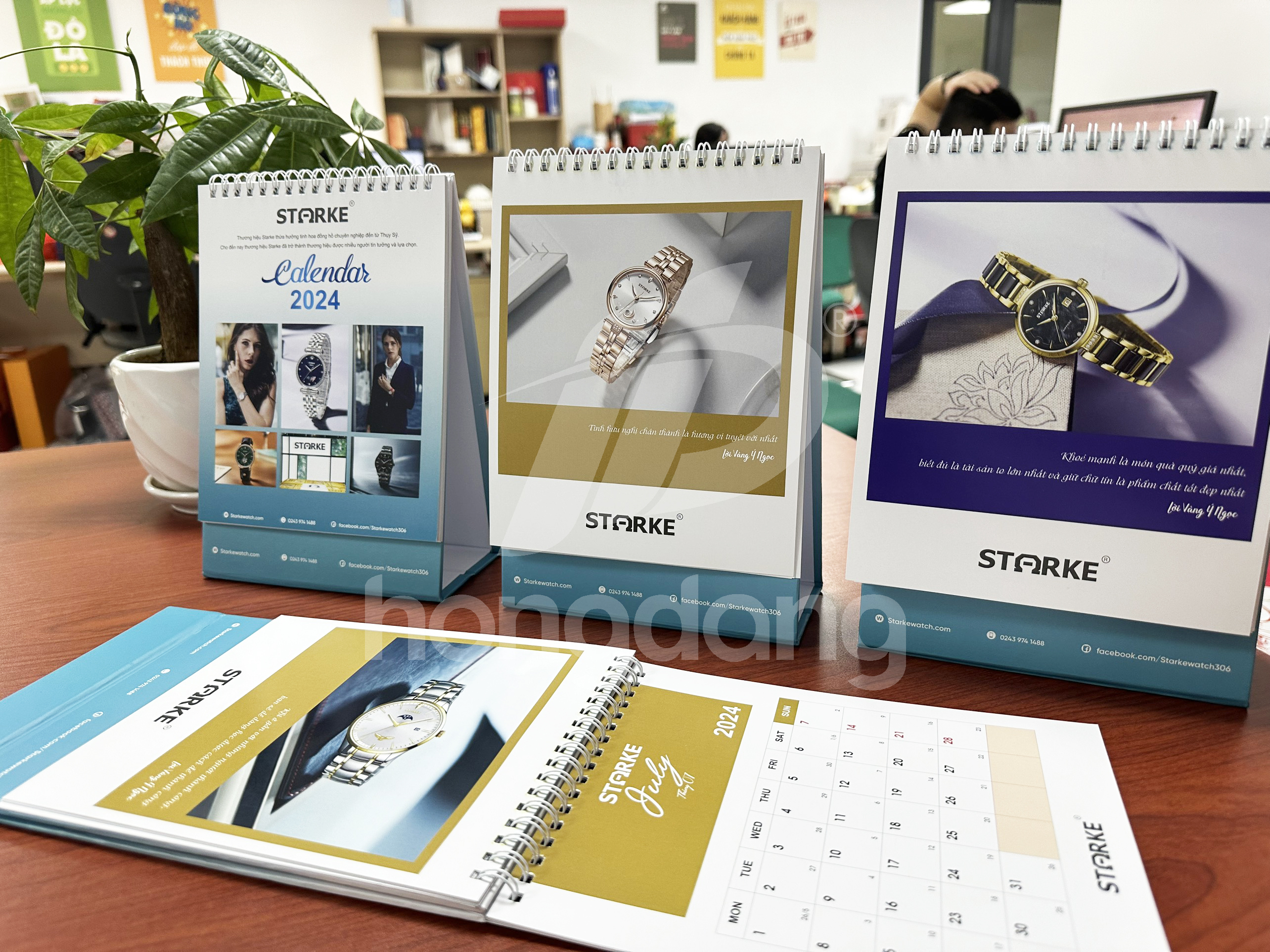 lich-de-ban-stoke-14-