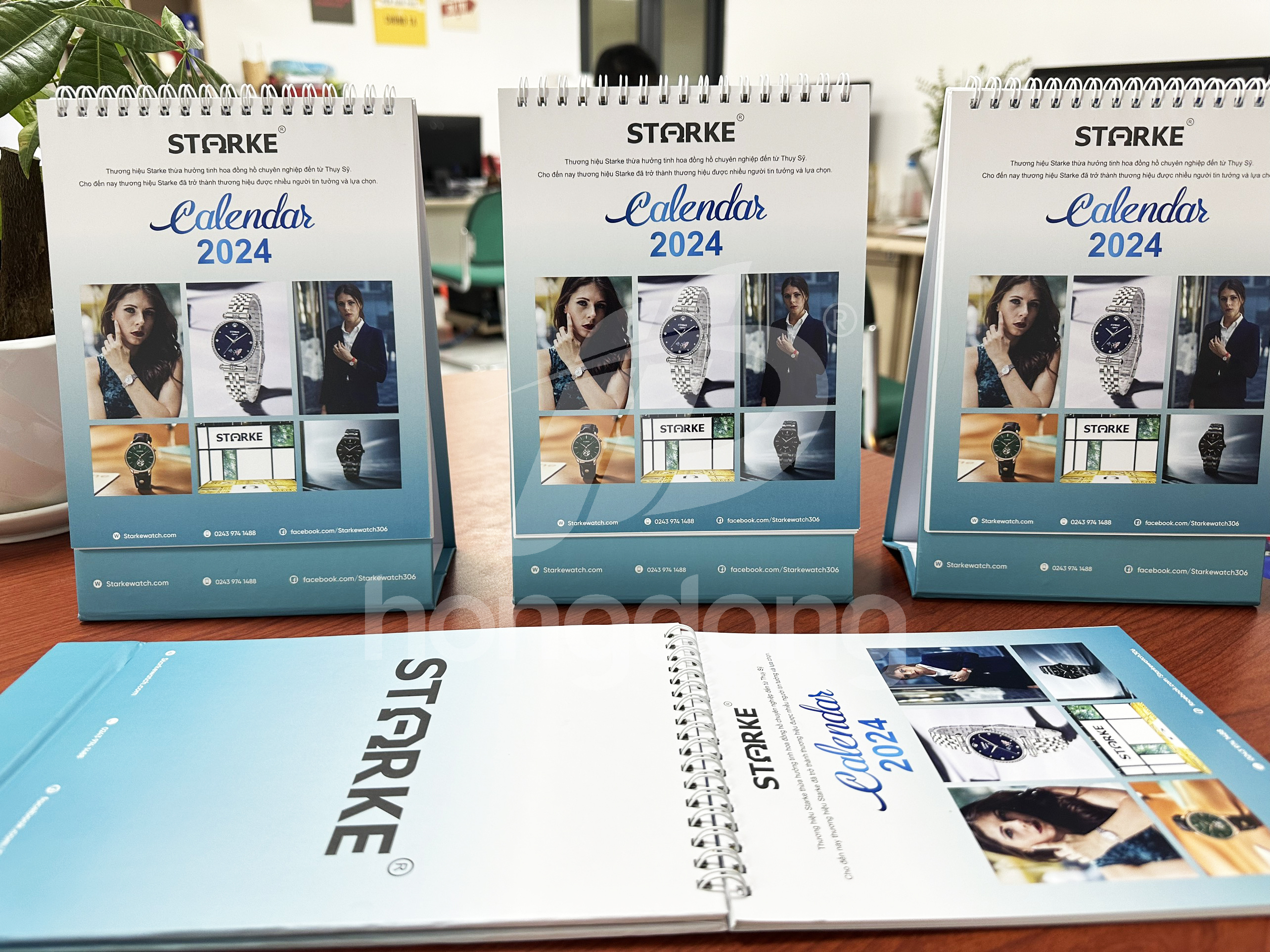 lich-de-ban-stoke-2-