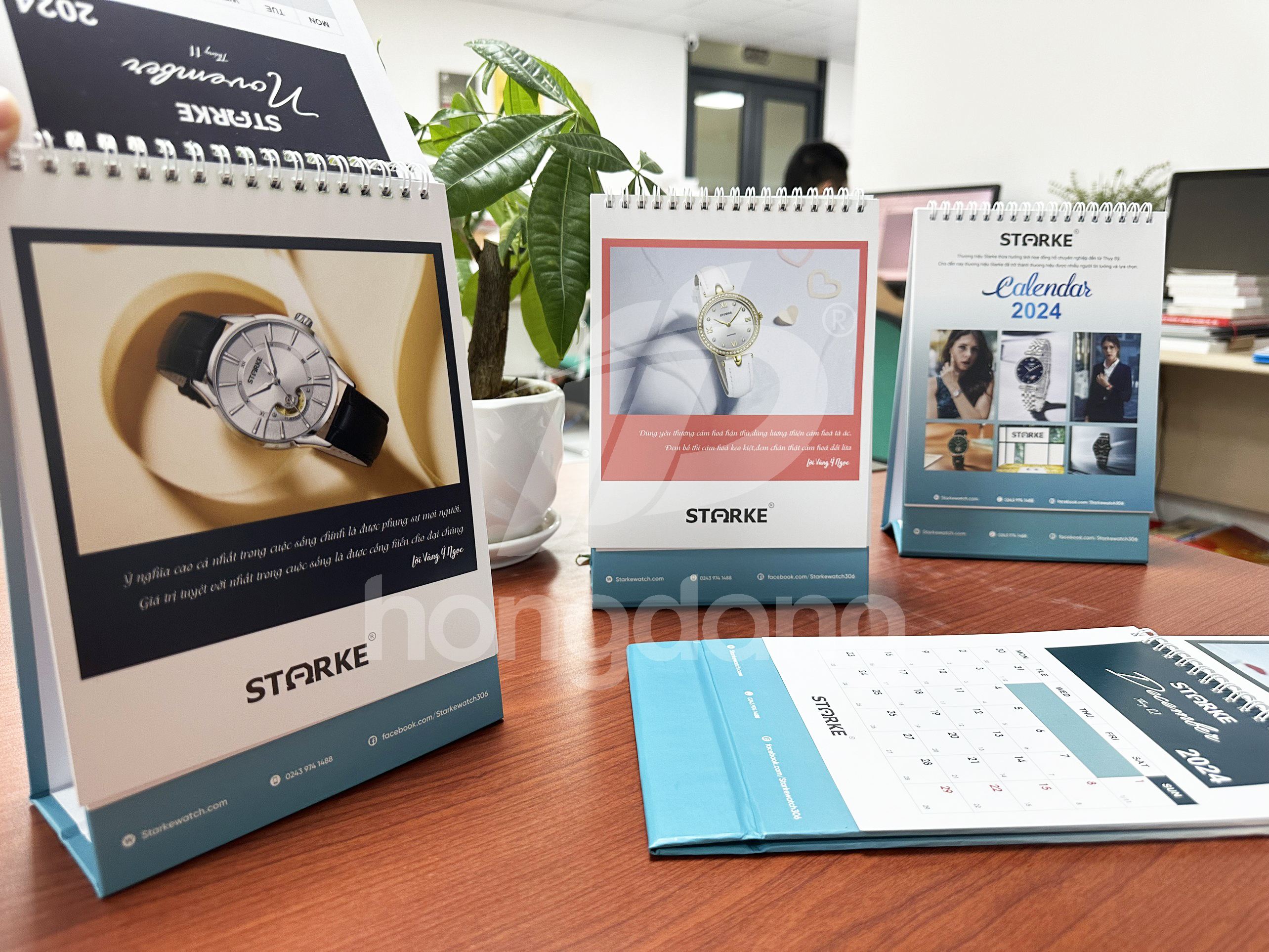 lich-de-ban-stoke-7-