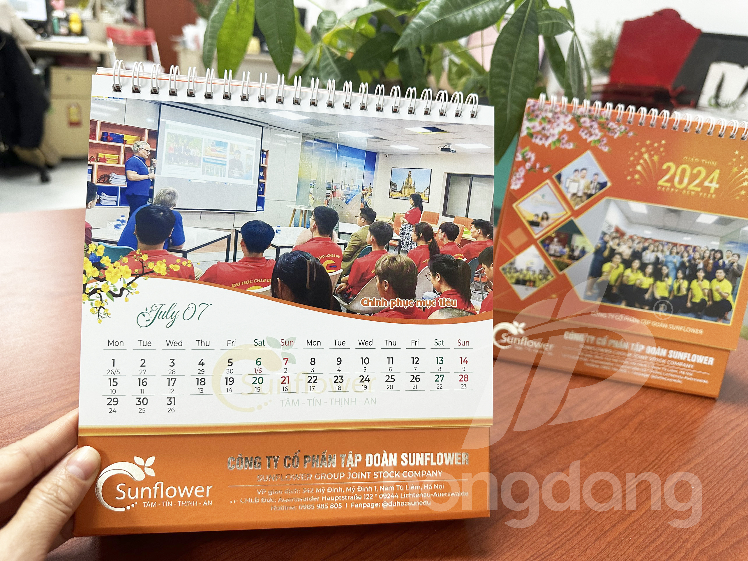 lich-de-ban-sunflower-12-