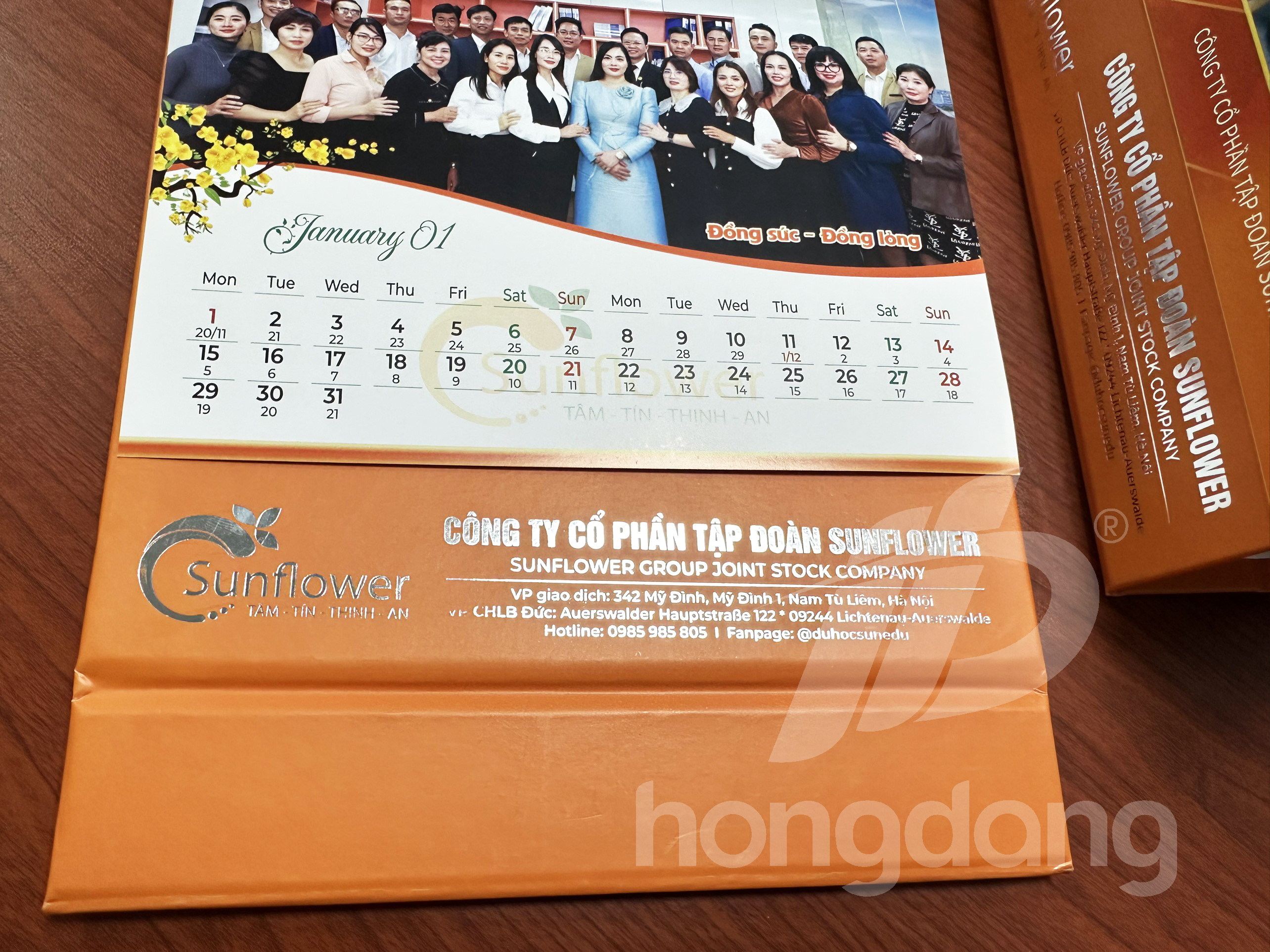 lich-de-ban-sunflower-15-