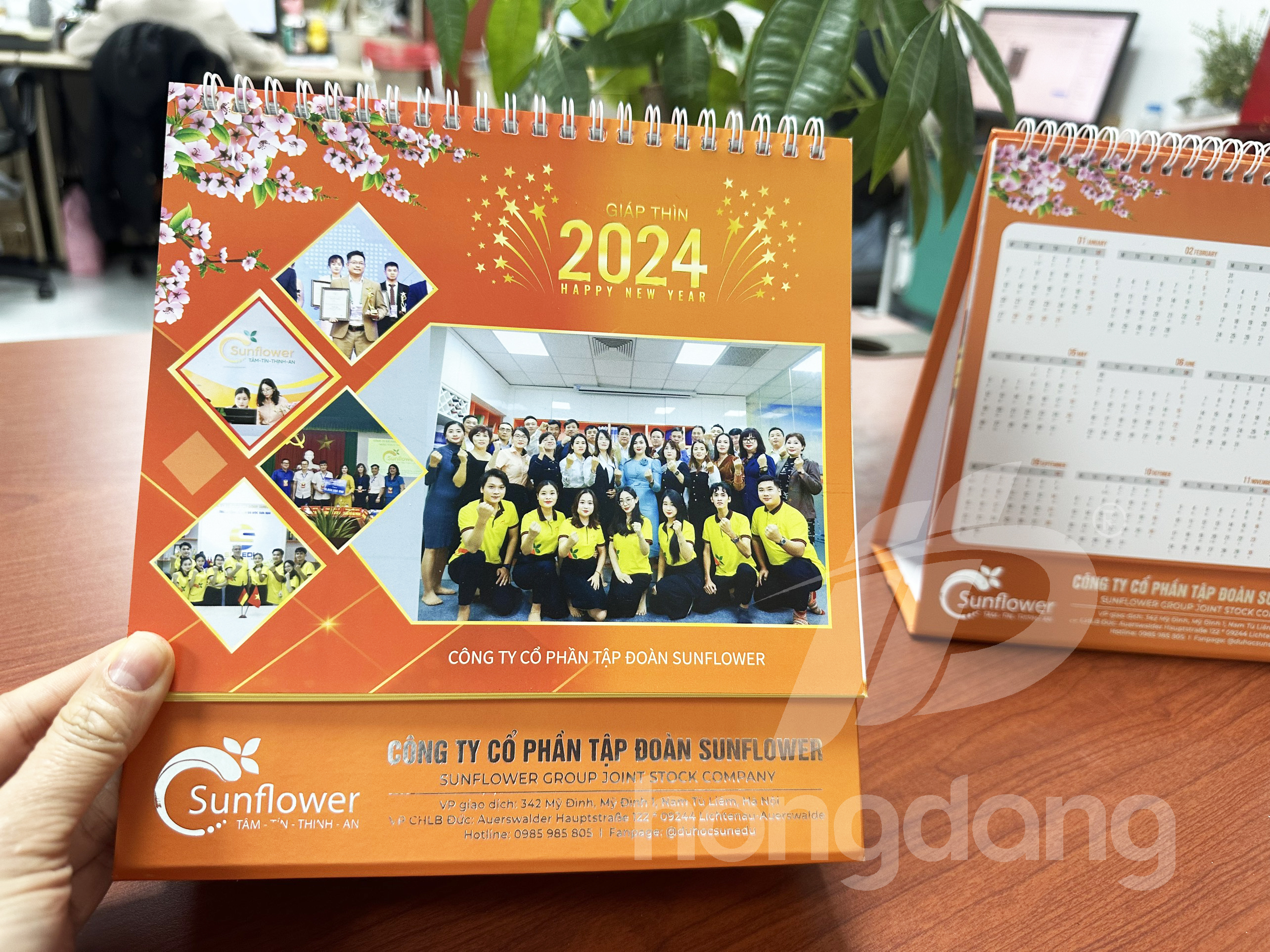 lich-de-ban-sunflower-2-