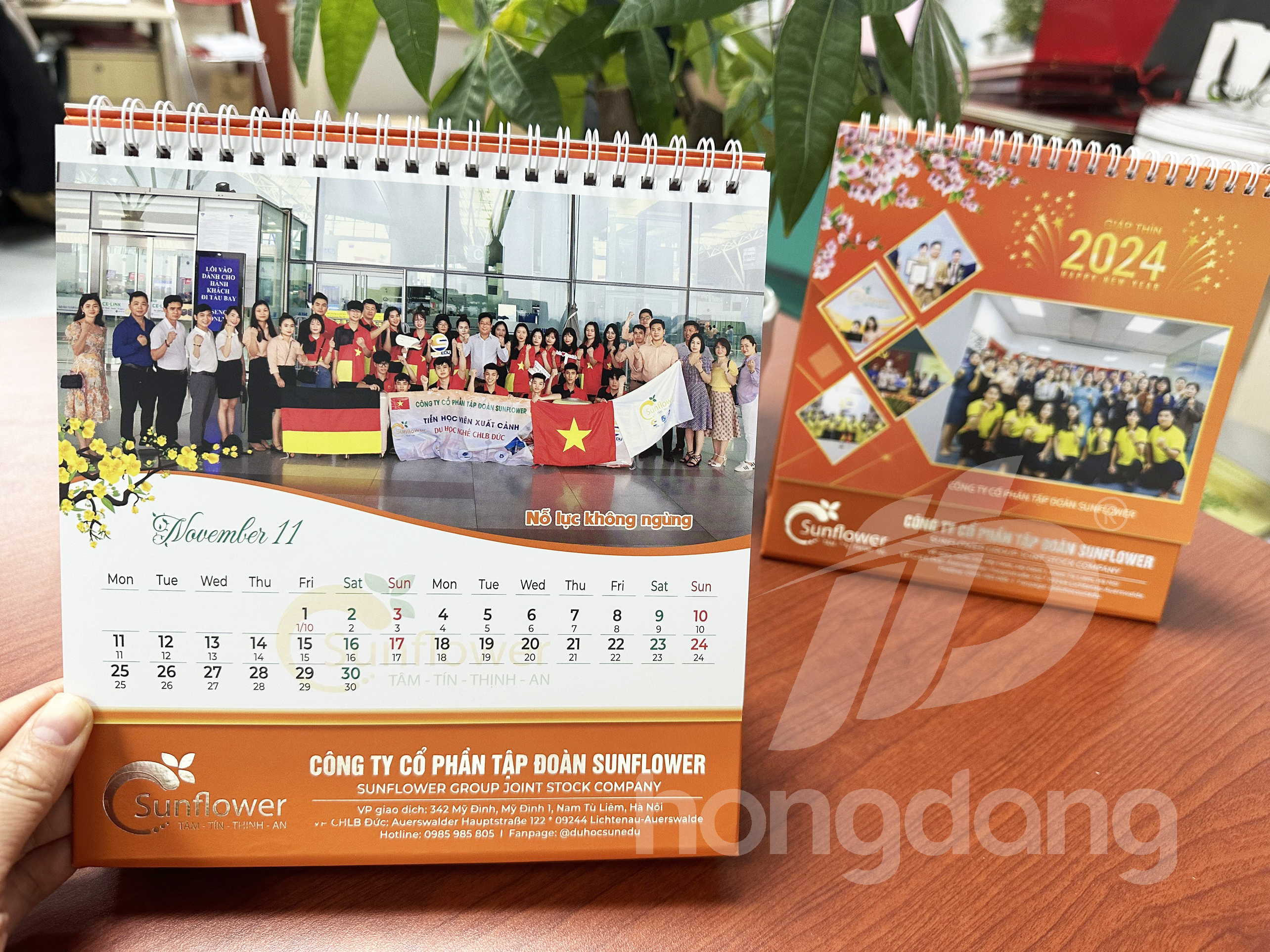 lich-de-ban-sunflower-20-