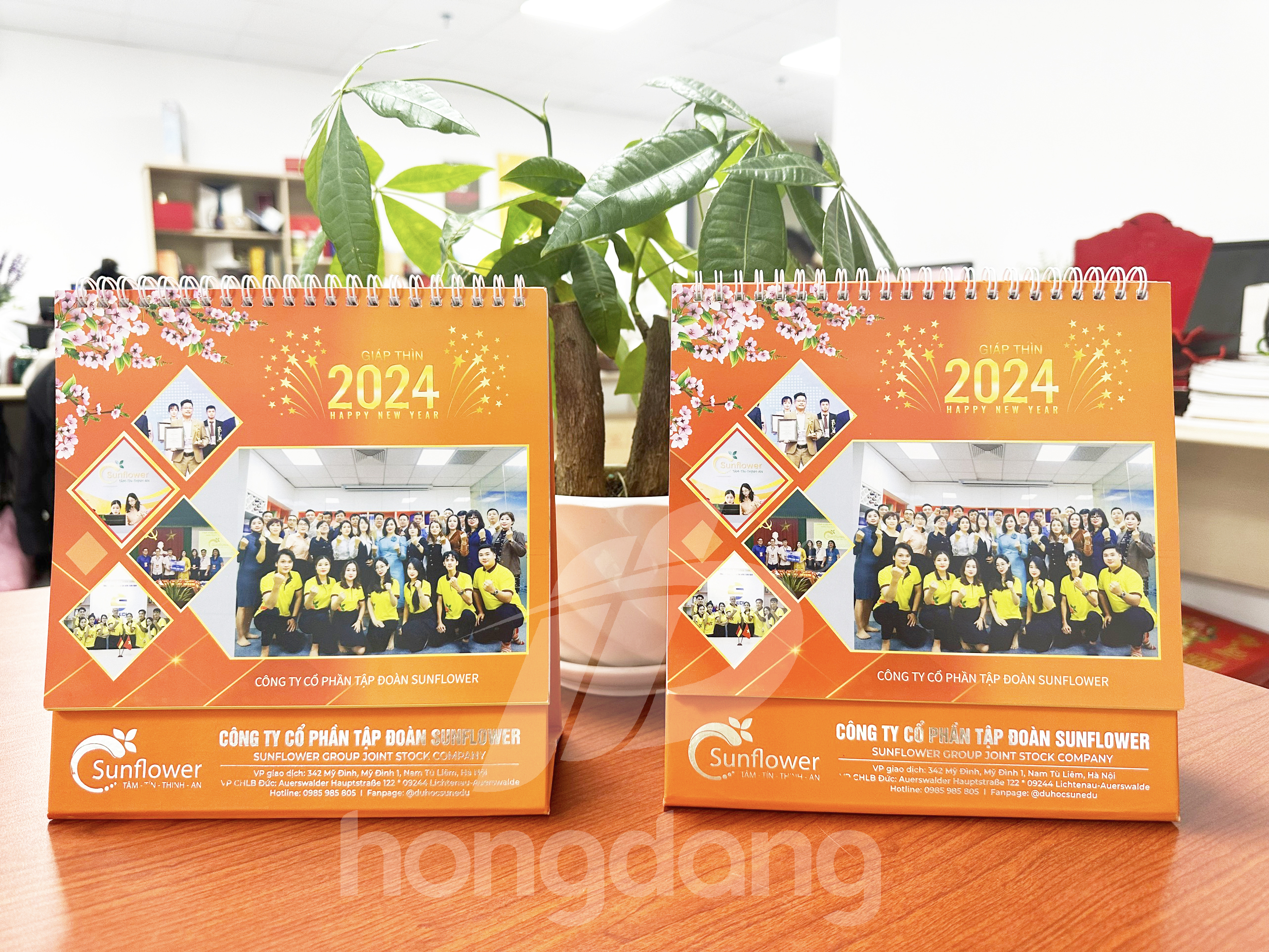 lich-de-ban-sunflower-22-