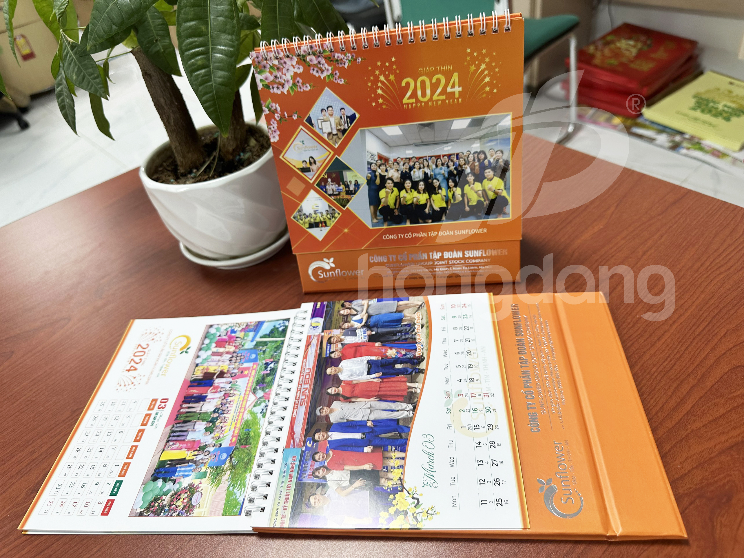 lich-de-ban-sunflower-5-