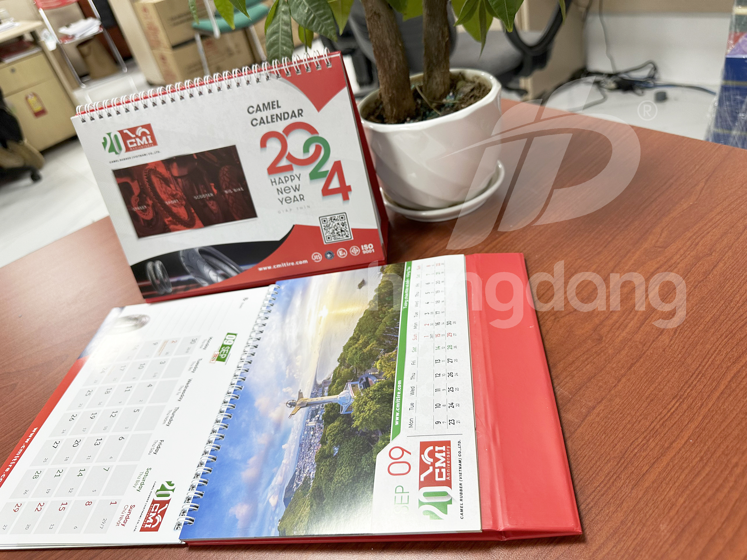 lich-tet-de-ban-camel-1-