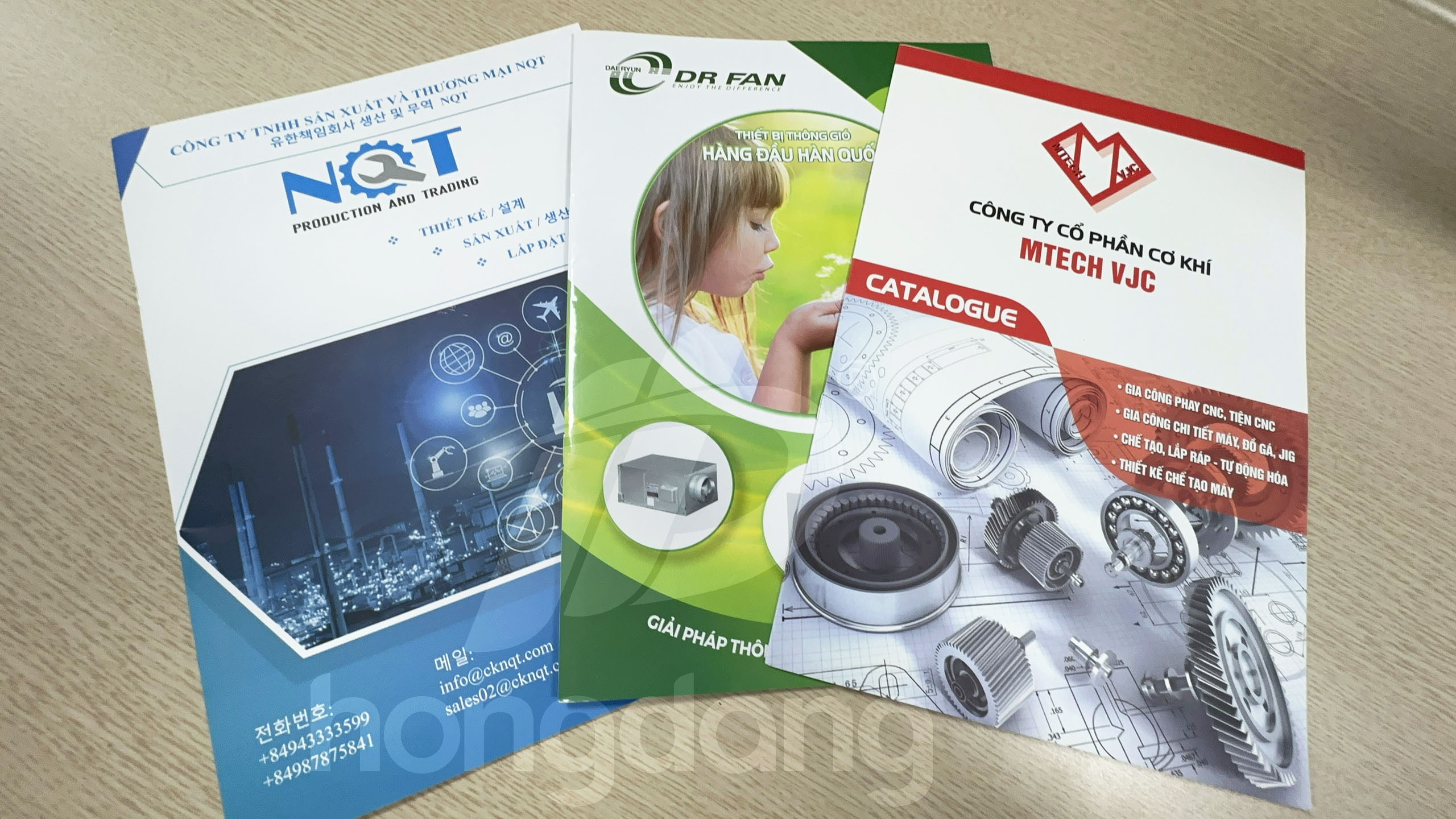 mau-catalogue-a4-dung-20-