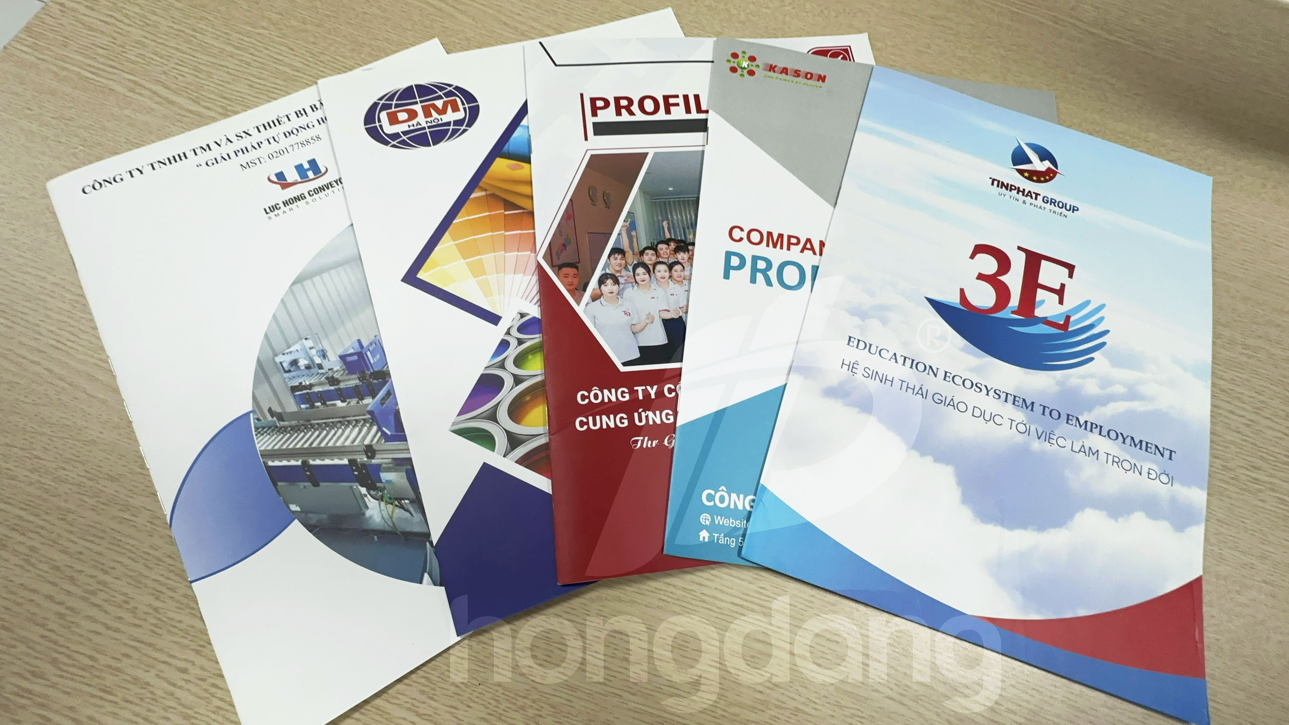 mau-catalogue-a4-dung-22-