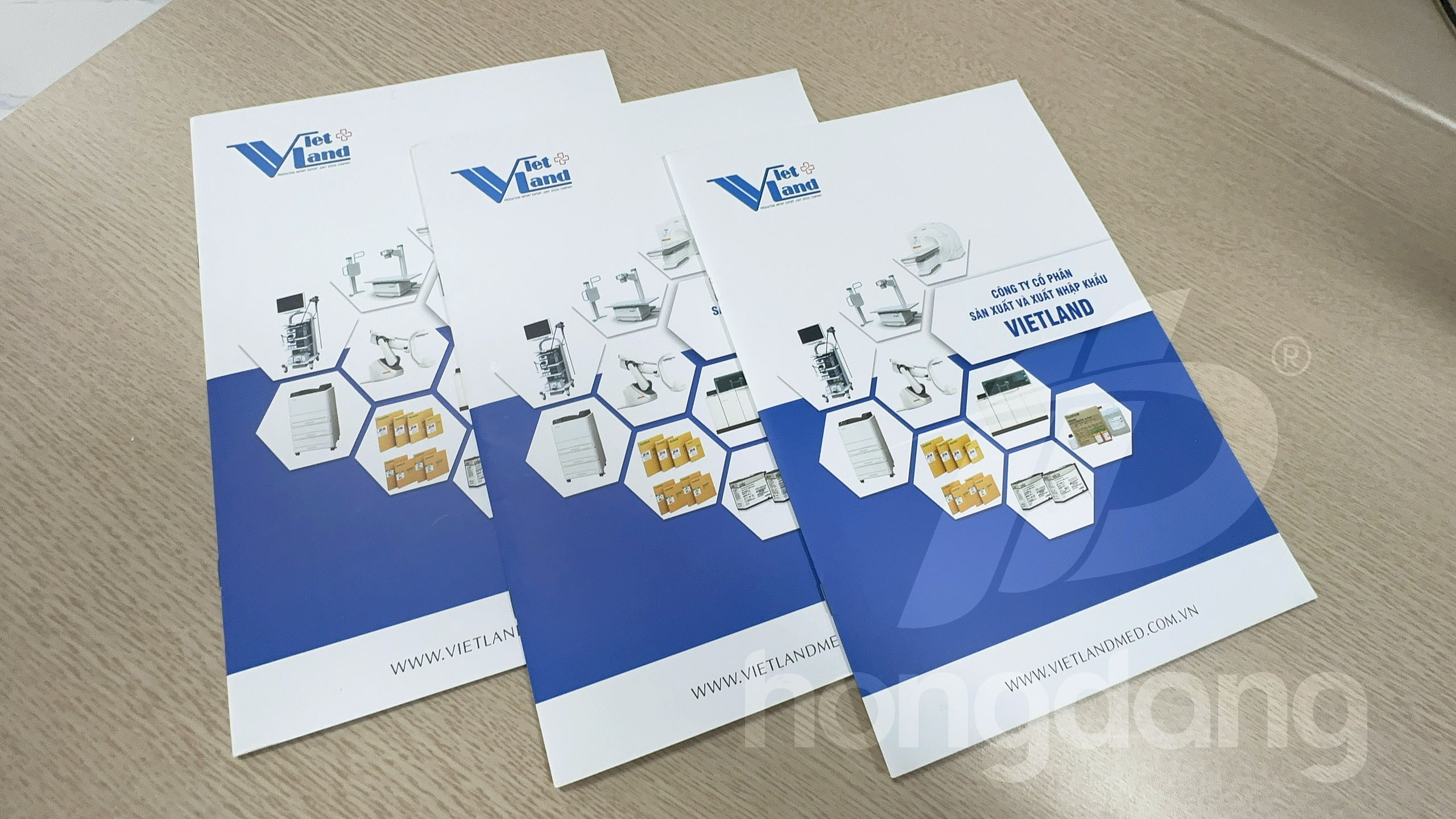 mau-catalogue-a4-dung-37-