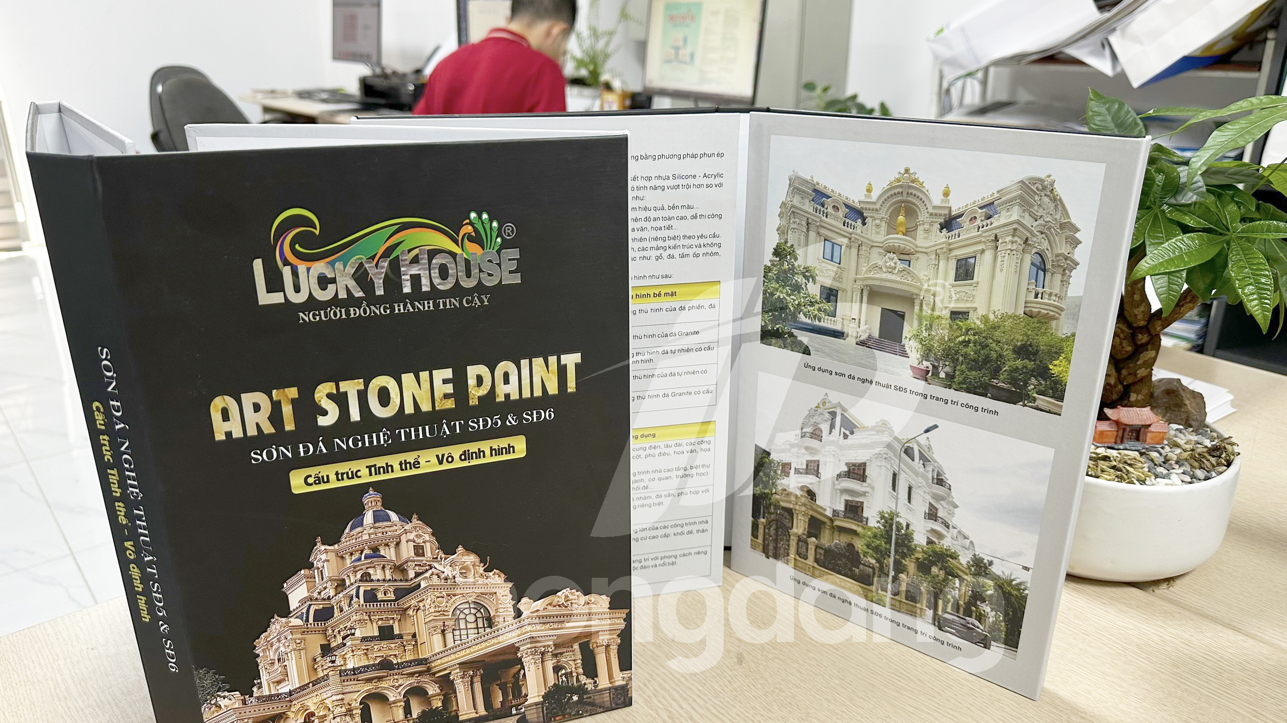 mau-catalogue-bia-cung-son-da-nghe-thuat-lucky-house-34-