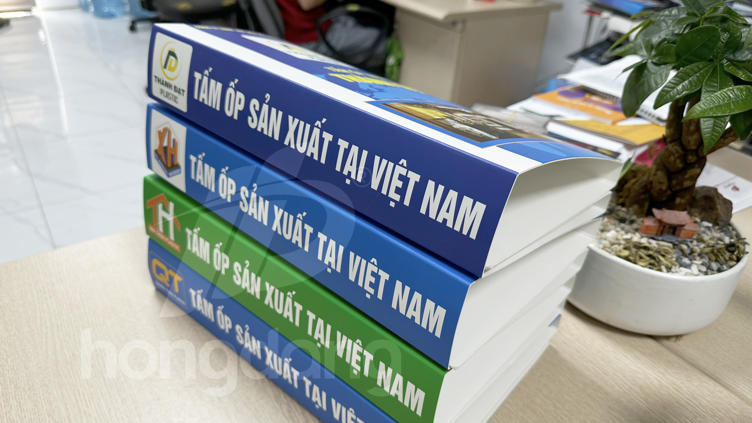 mau-catalogue-bia-cung-tam-nhua-op-tuong-24-
