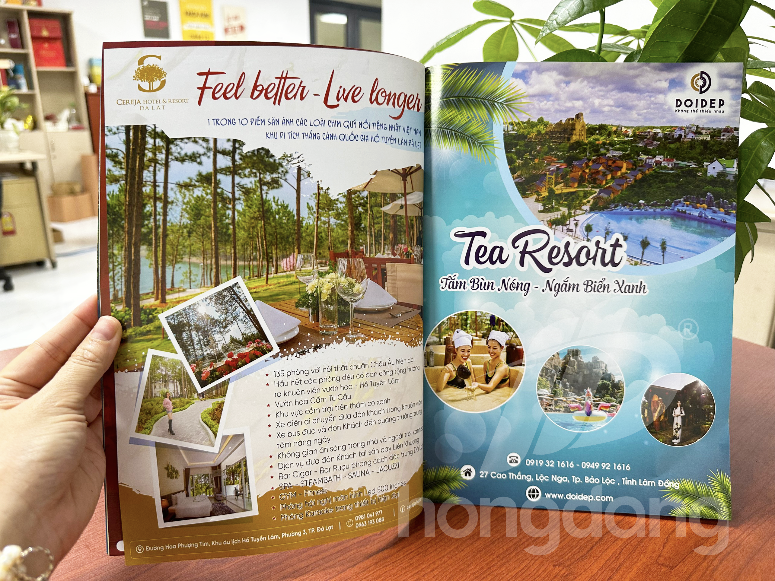 mau-catalogue-du-lich-12-