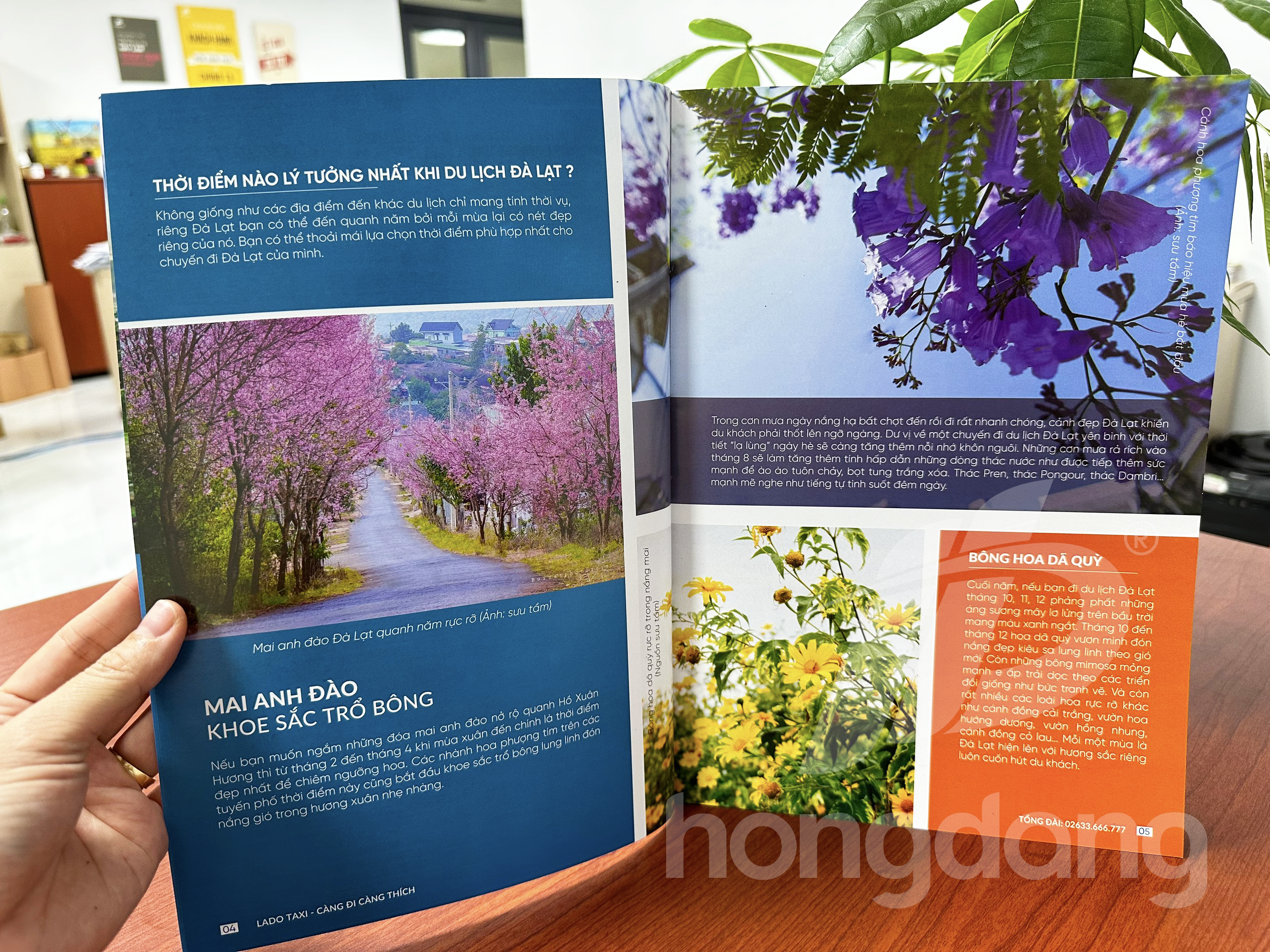 mau-catalogue-du-lich-6-