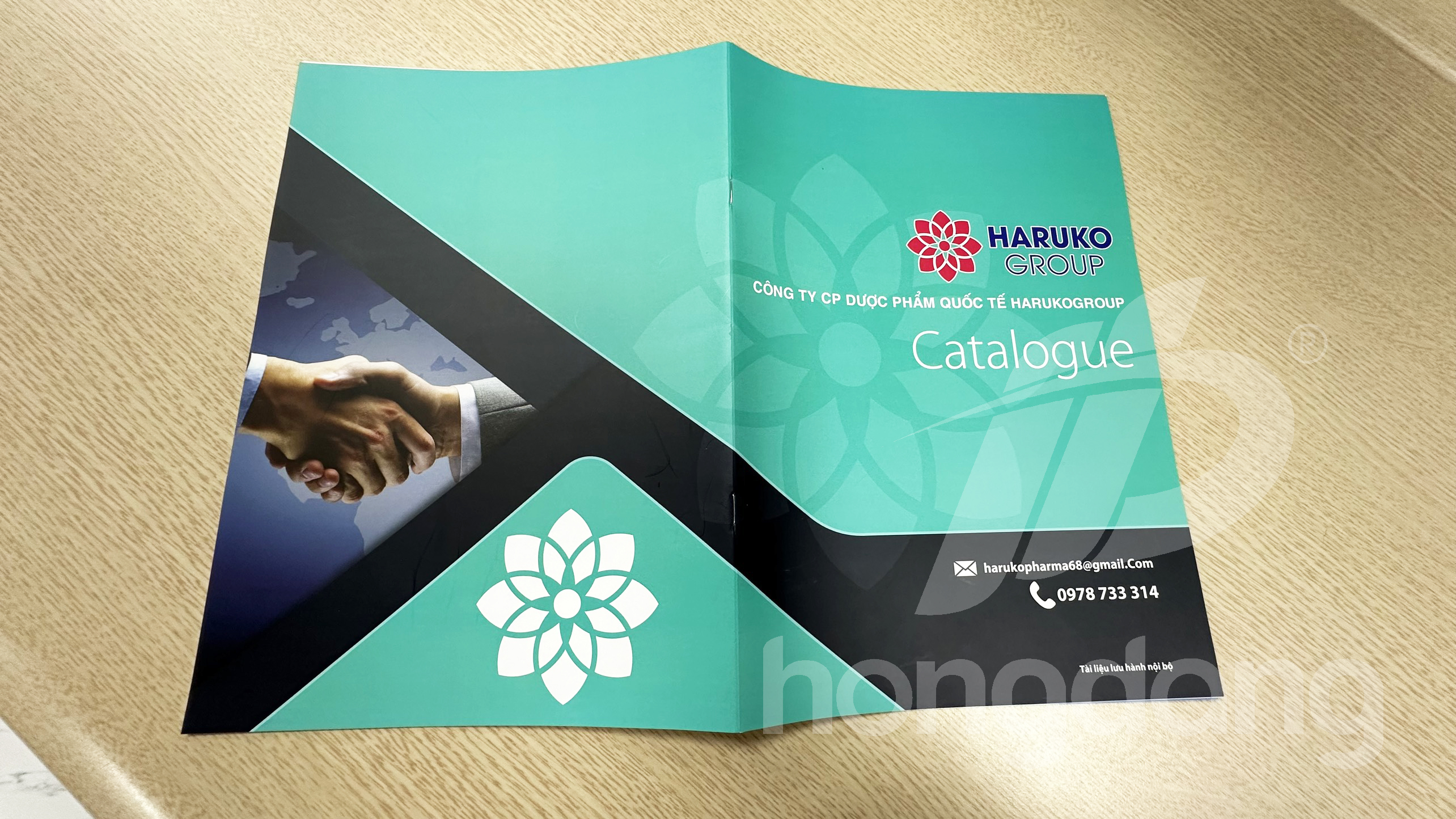 mau-catalogue-duoc-pham-3-