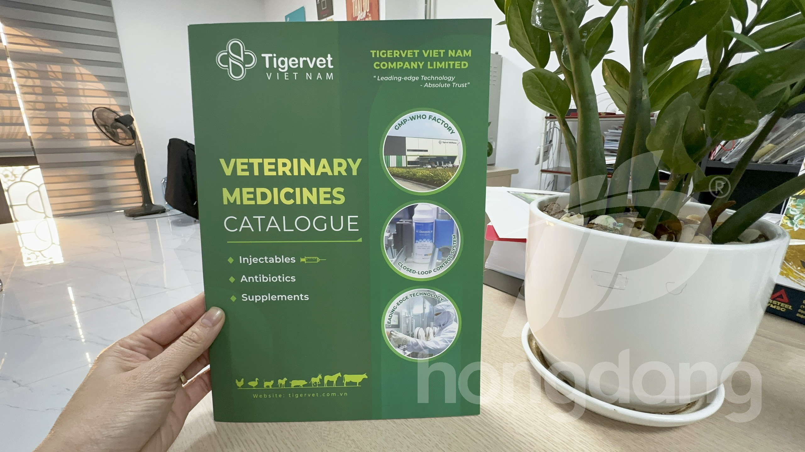 mau-catalogue-gioi-thieu-san-pham-bo-tro-chan-nuoi-1-