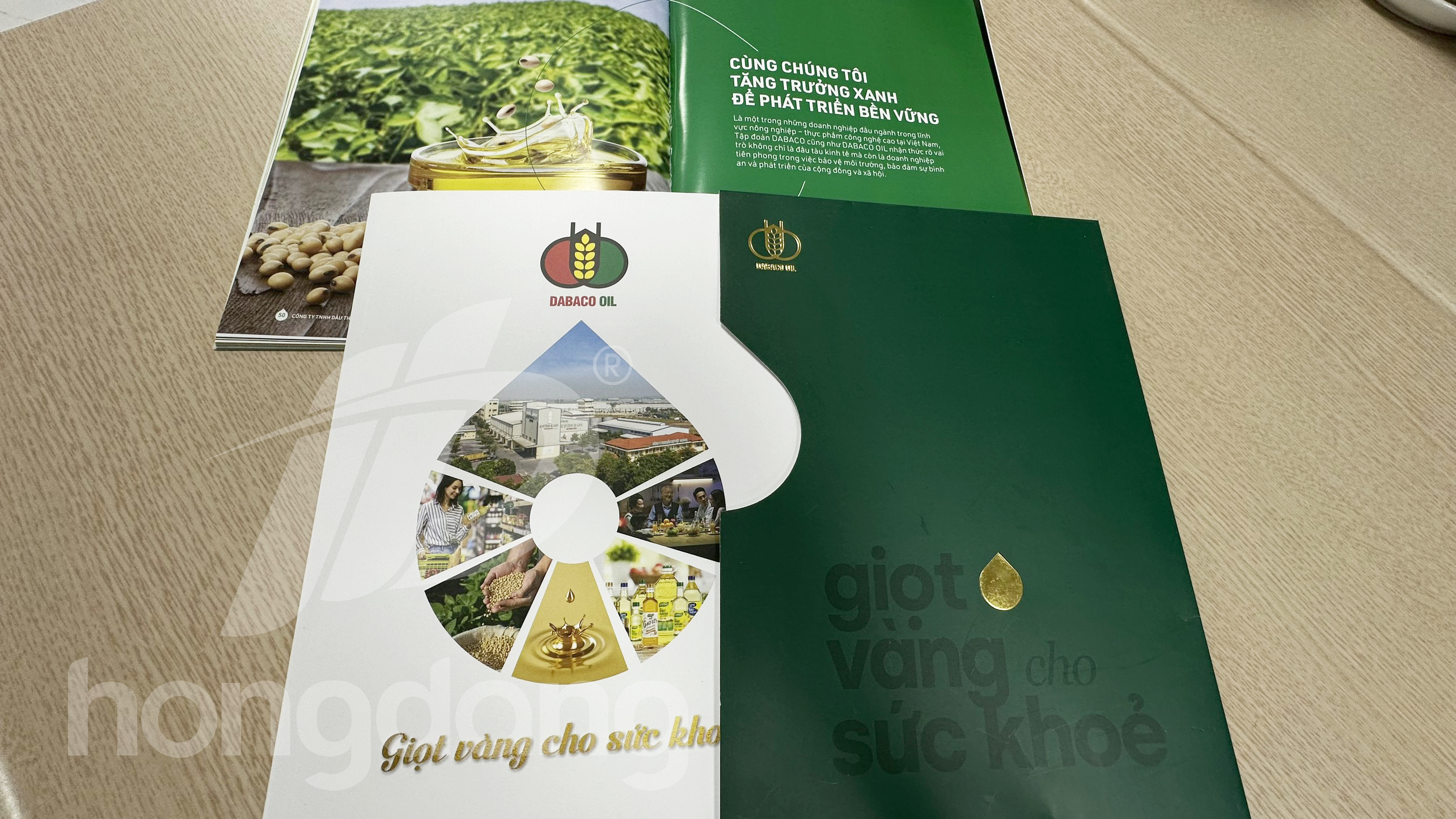 mau-catalogue-gioi-thieu-san-pham-dau-an-1-