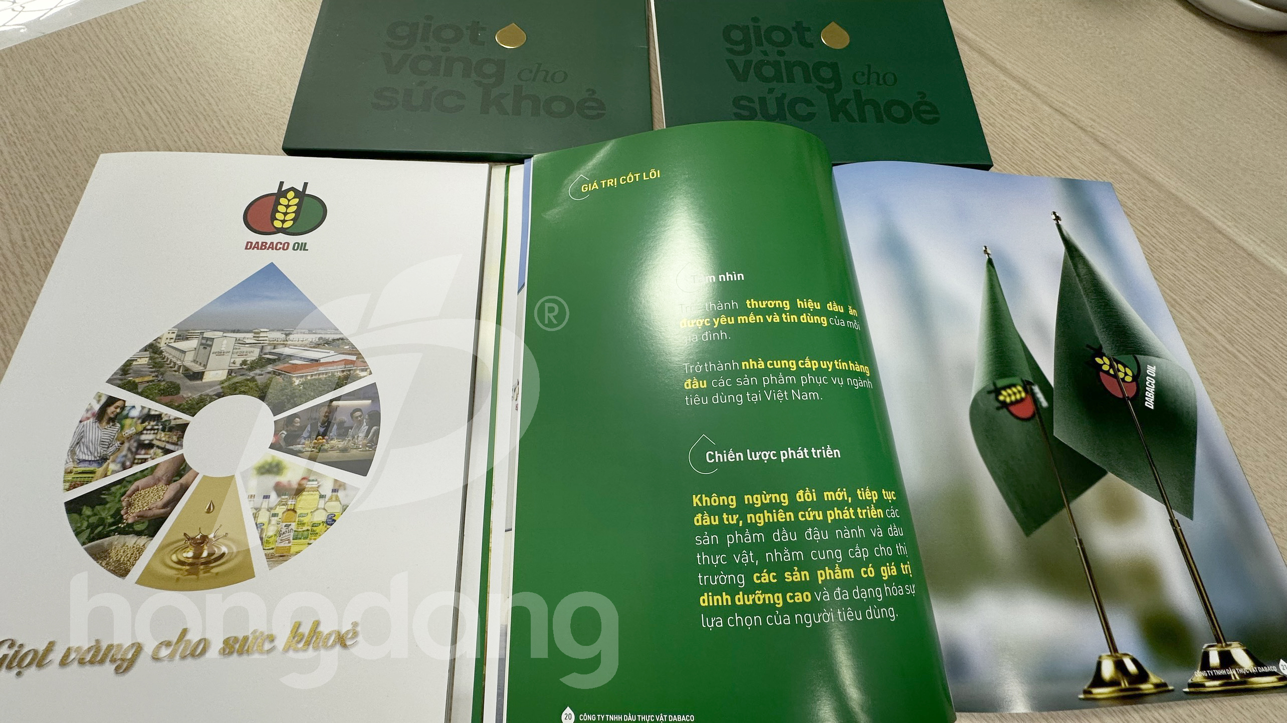 mau-catalogue-gioi-thieu-san-pham-dau-an-11-