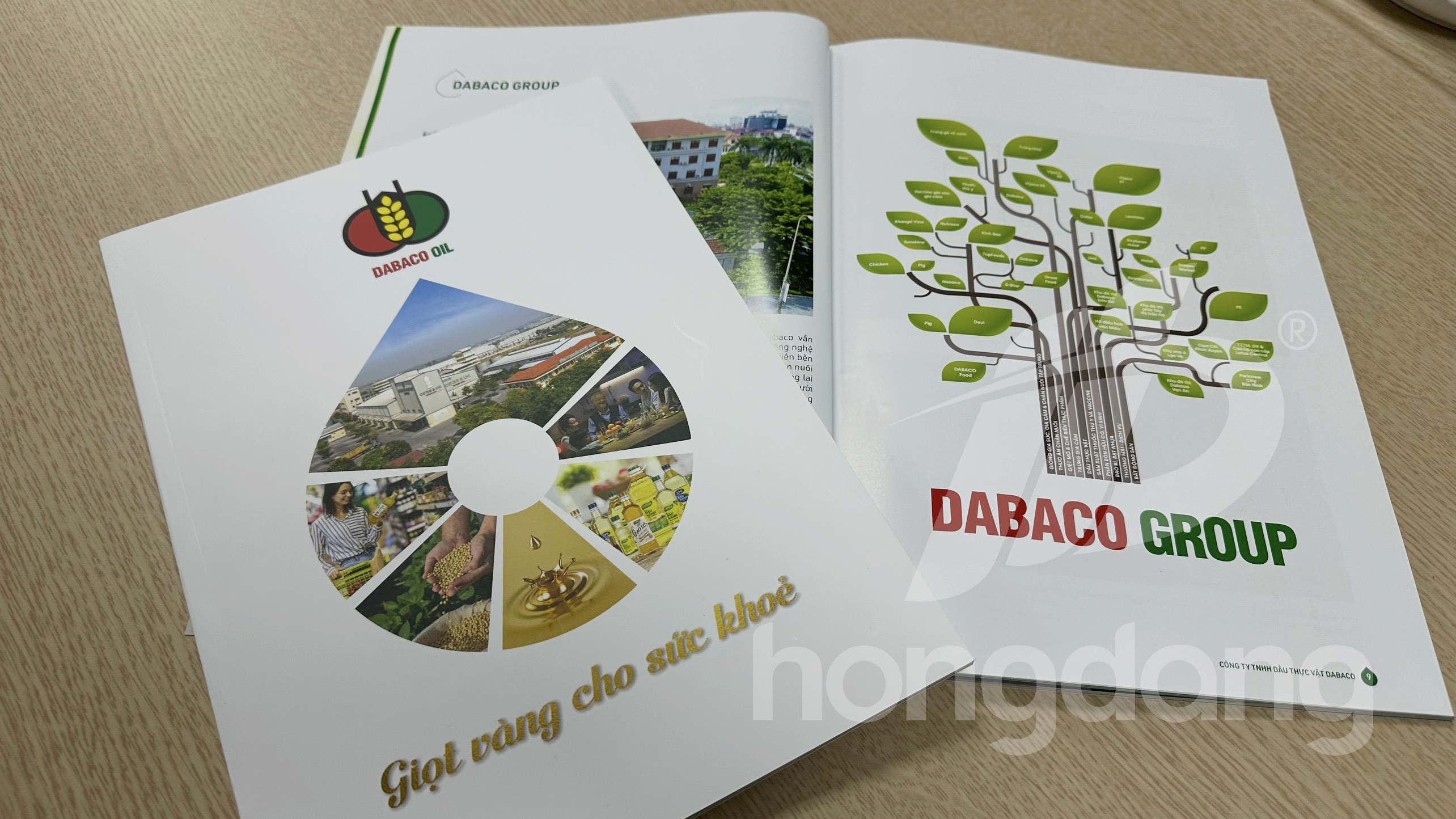 mau-catalogue-gioi-thieu-san-pham-dau-an-14-