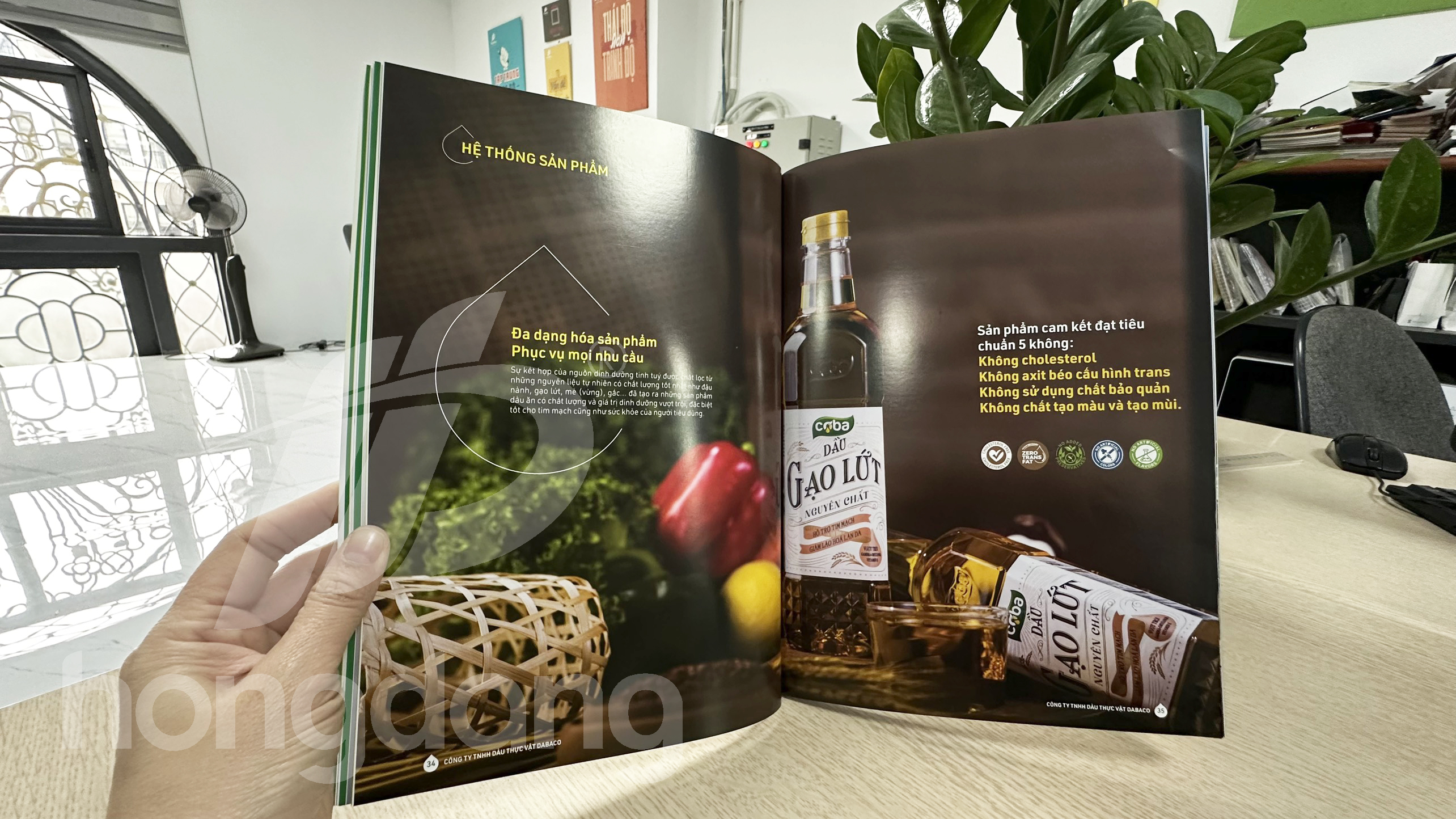 mau-catalogue-gioi-thieu-san-pham-dau-an-19-