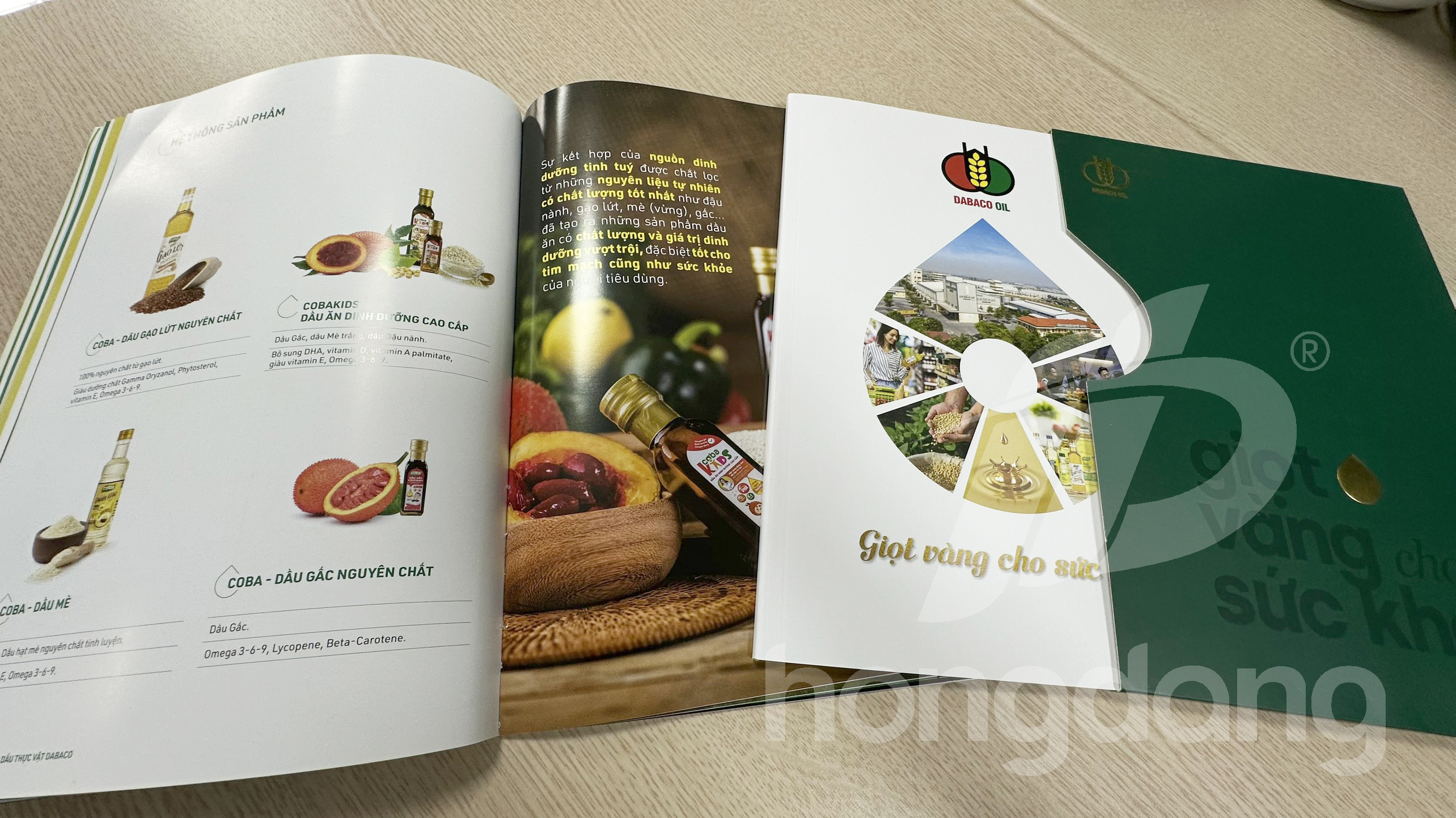 mau-catalogue-gioi-thieu-san-pham-dau-an-3-