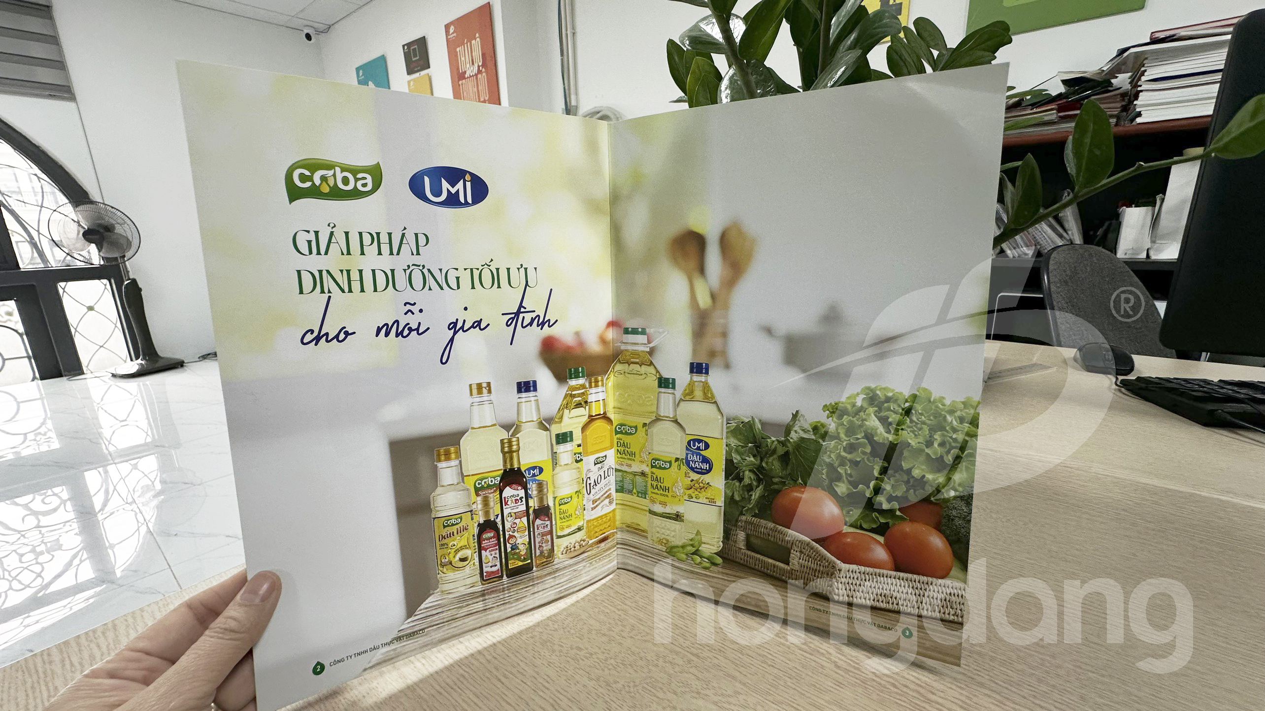 mau-catalogue-gioi-thieu-san-pham-dau-an-32-