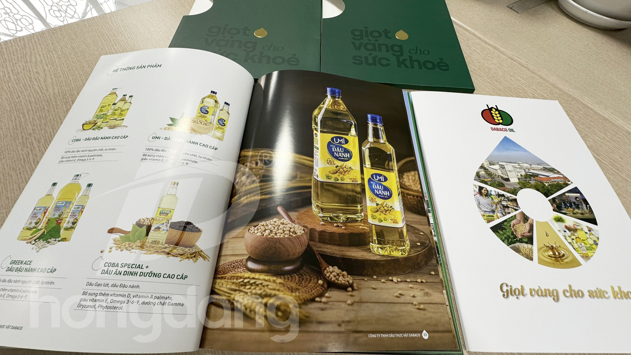 mau-catalogue-gioi-thieu-san-pham-dau-an-6-