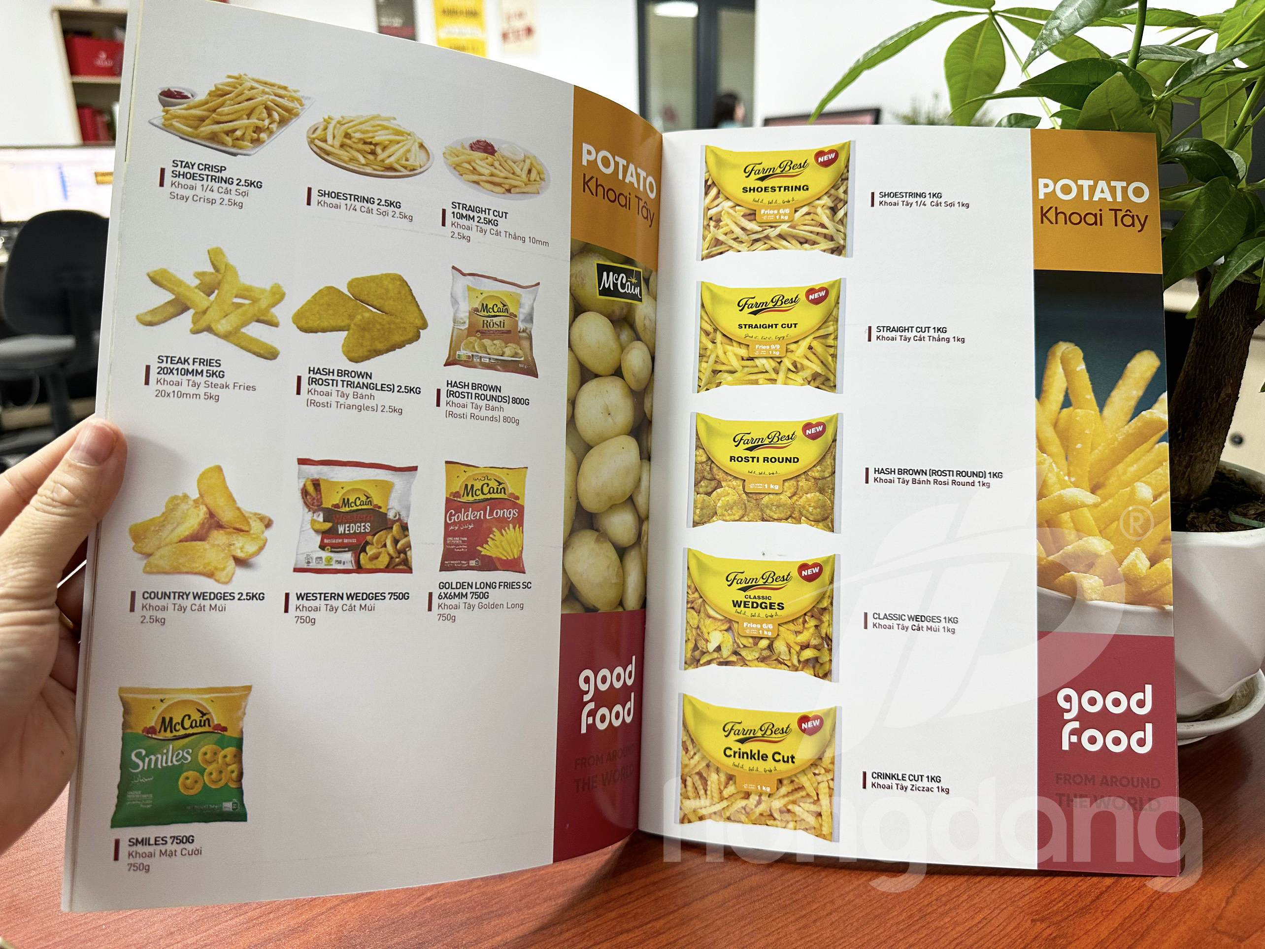 mau-catalogue-linh-vuc-thuc-pham-10-