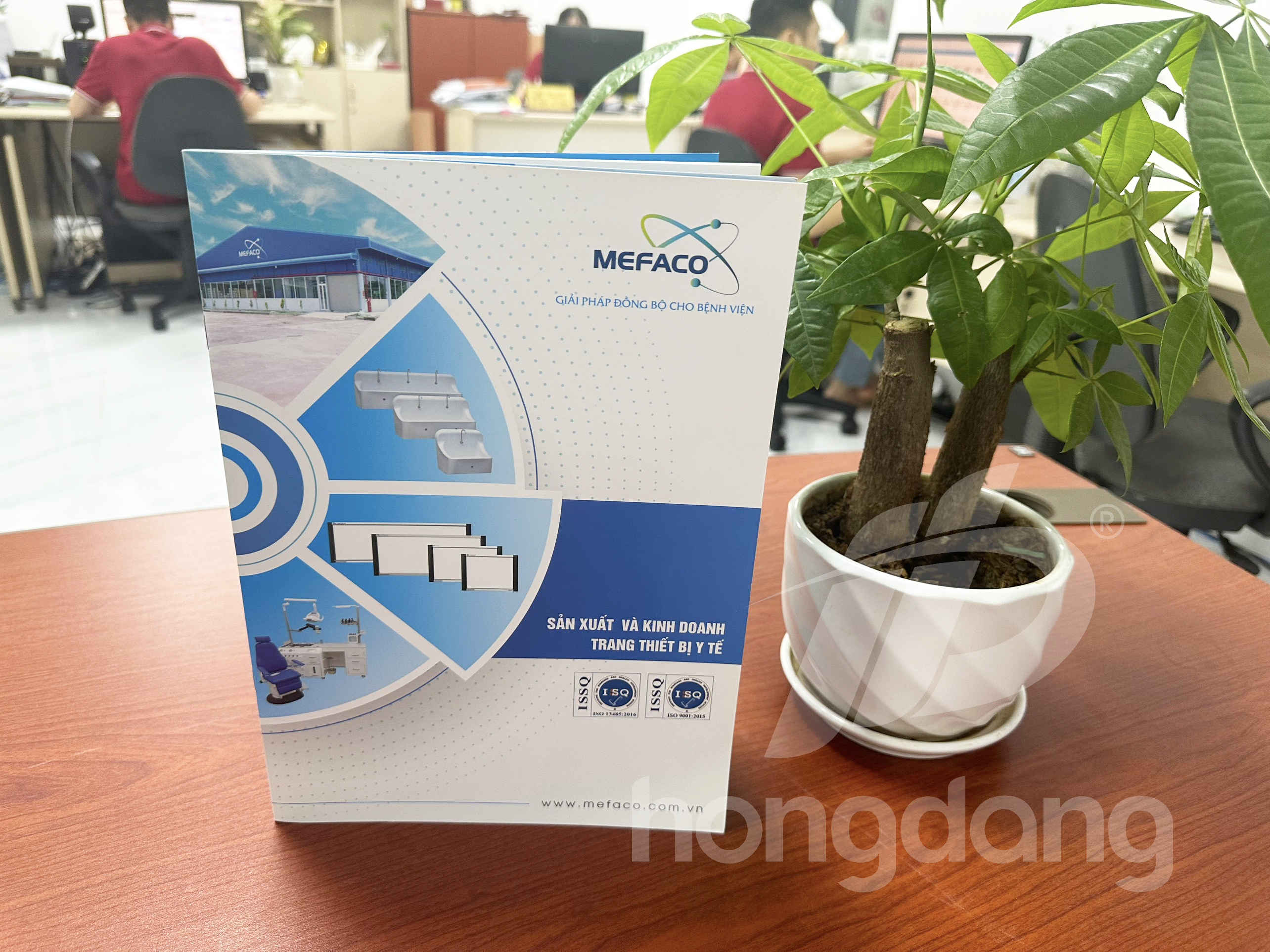 Mẫu Catalogue Sản Xuất Kinh Doanh Thiết Bị Y Tế 