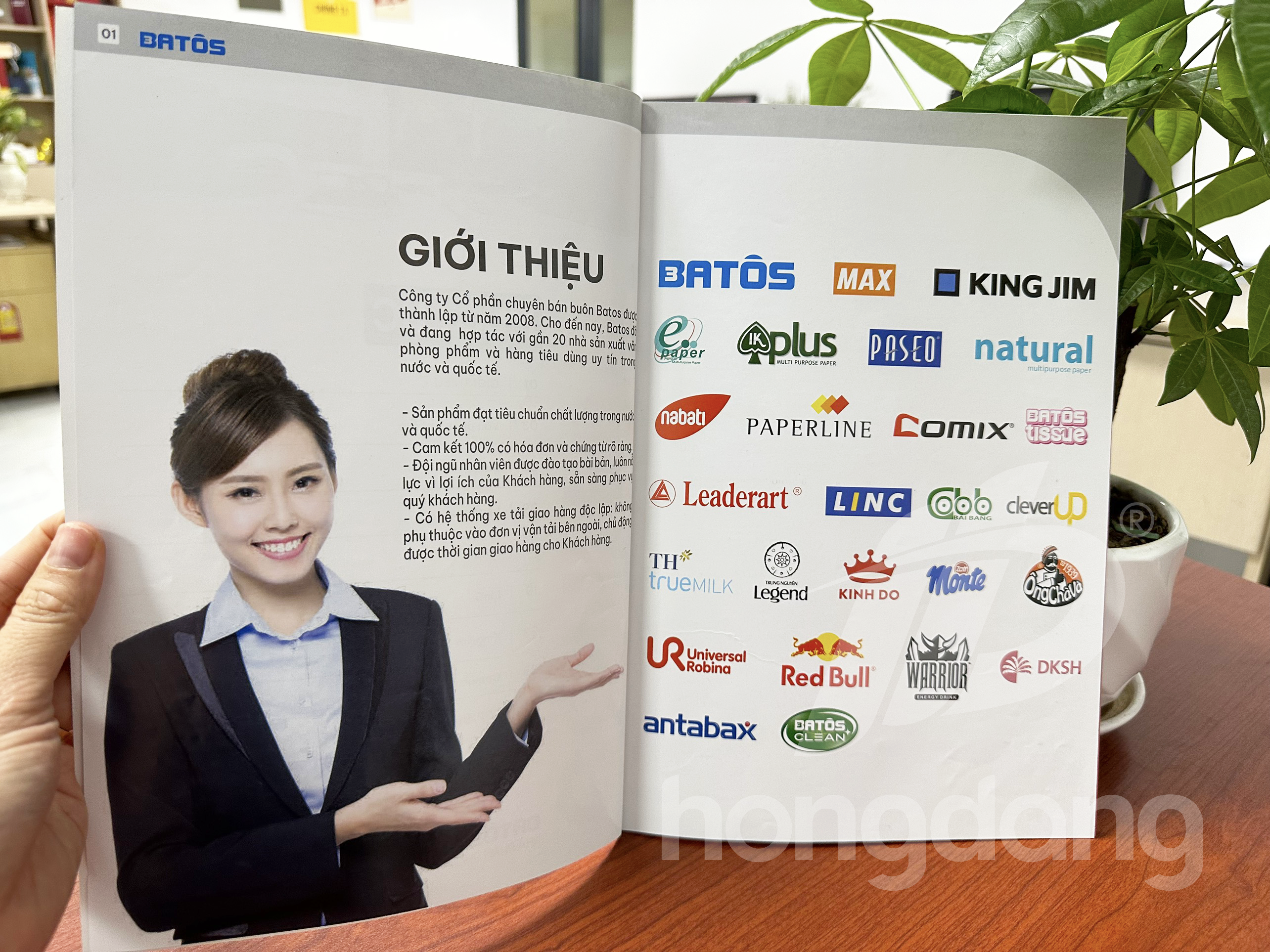 mau-catalogue-van-phong-pham-1-