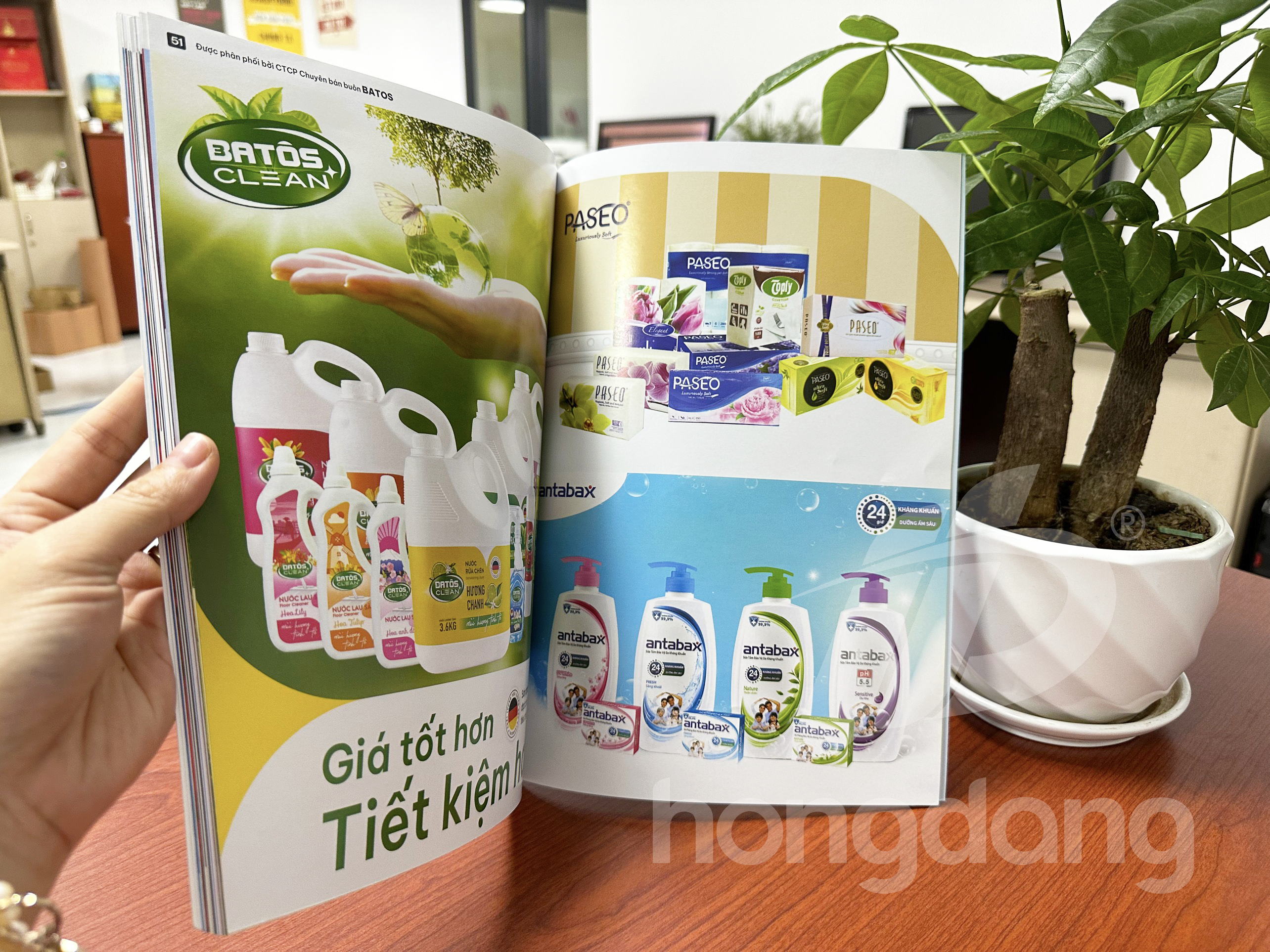 mau-catalogue-van-phong-pham-14-