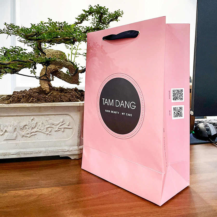 Túi giấy Kraft in màu